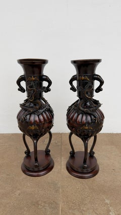 Coppia di vasi in bronzo in stile Meji raffiguranti draghi e pipistrelli