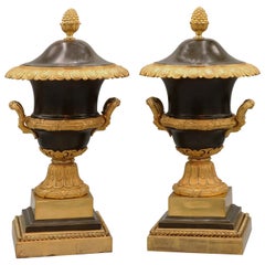 Pair of Bronze and Ormolu Urns and Covers, Early 19th Century