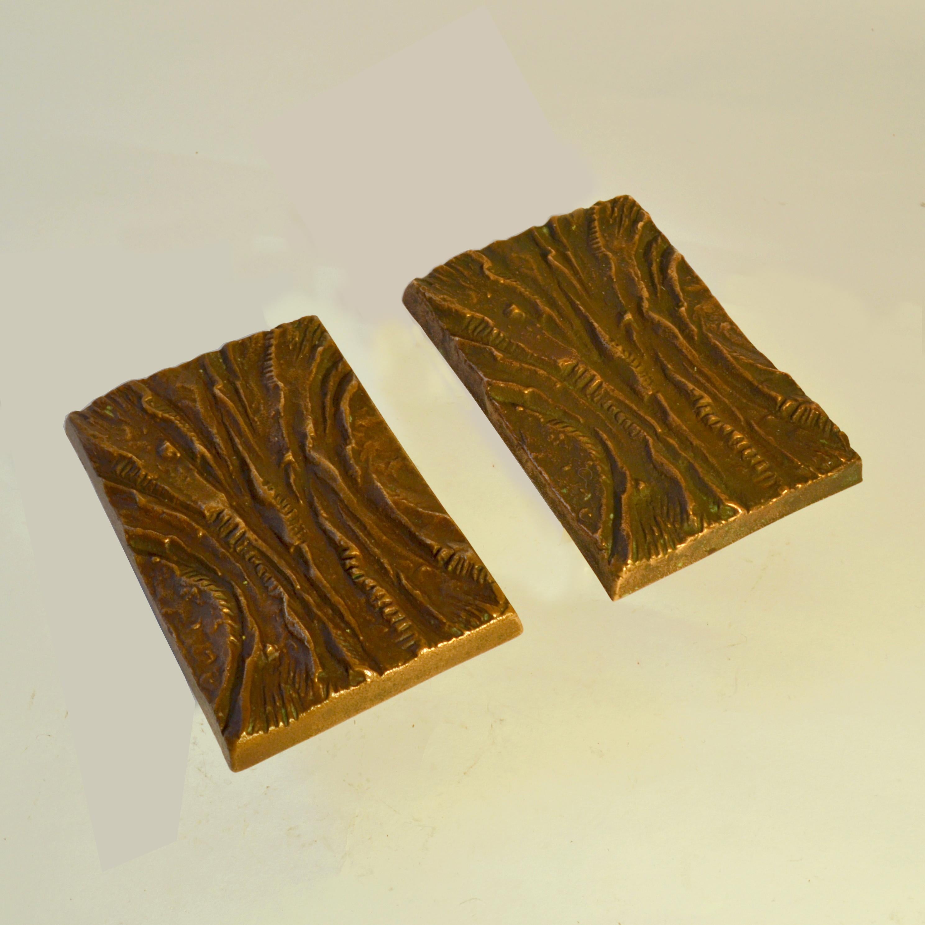 Mid-Century Modern Pair of Bronze Rectangular Push and Pull Door Handles with Curved Relief