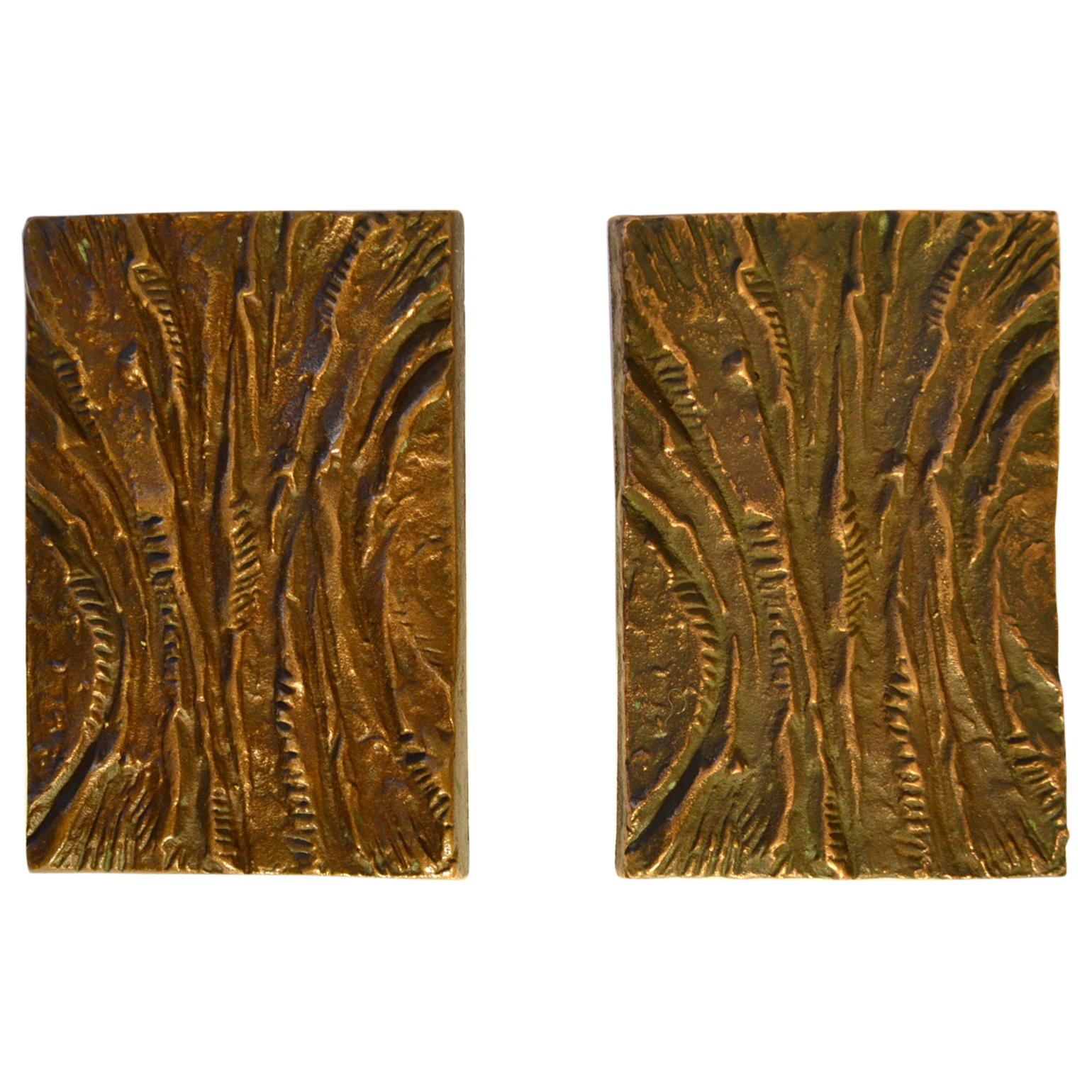 Pair of Bronze Rectangular Push and Pull Door Handles with Curved Relief