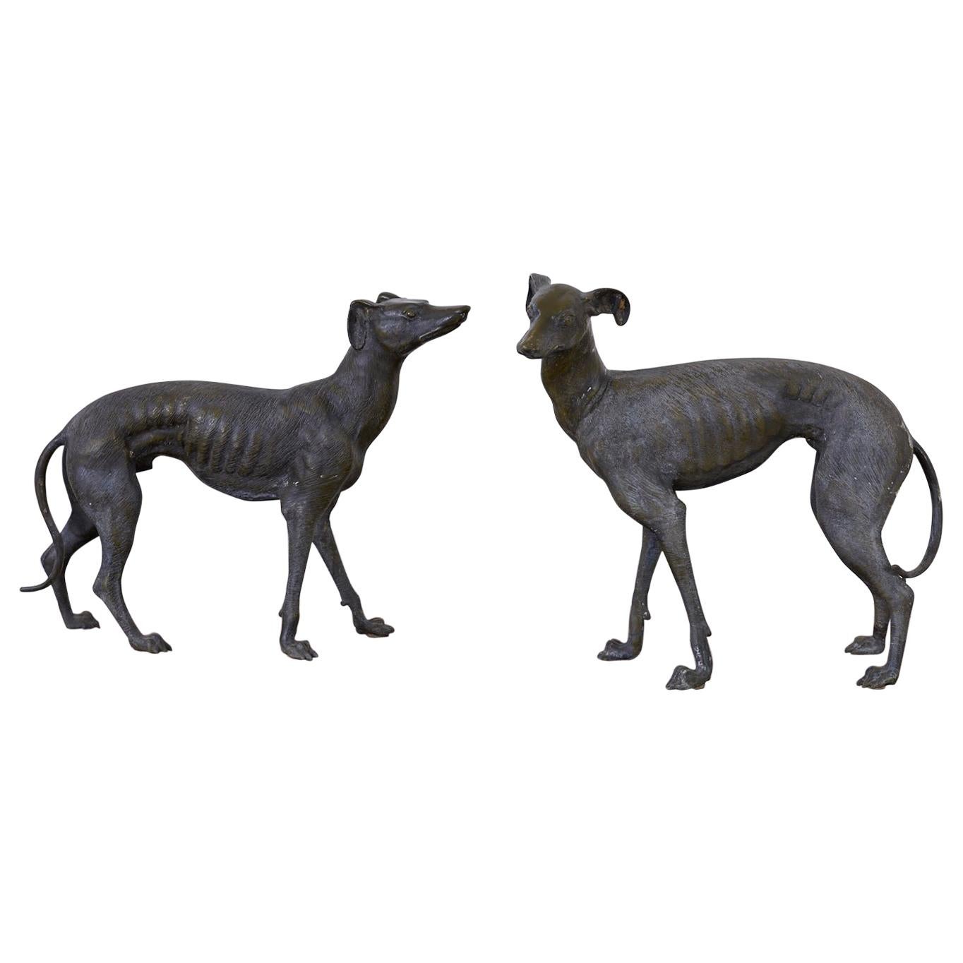 Pair of Bronze Whippets or Greyhound Dog Sculptures