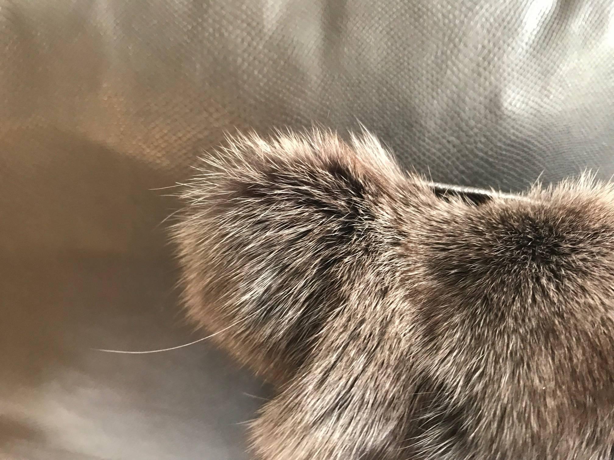 Unknown Pair of Brown Fox Fur Pillows