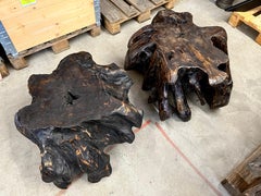 Pair of Brutalist Blackened Teak Root Tables for Vanessa