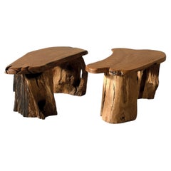 Pair of Brutalist Root Tables, late 20th century
