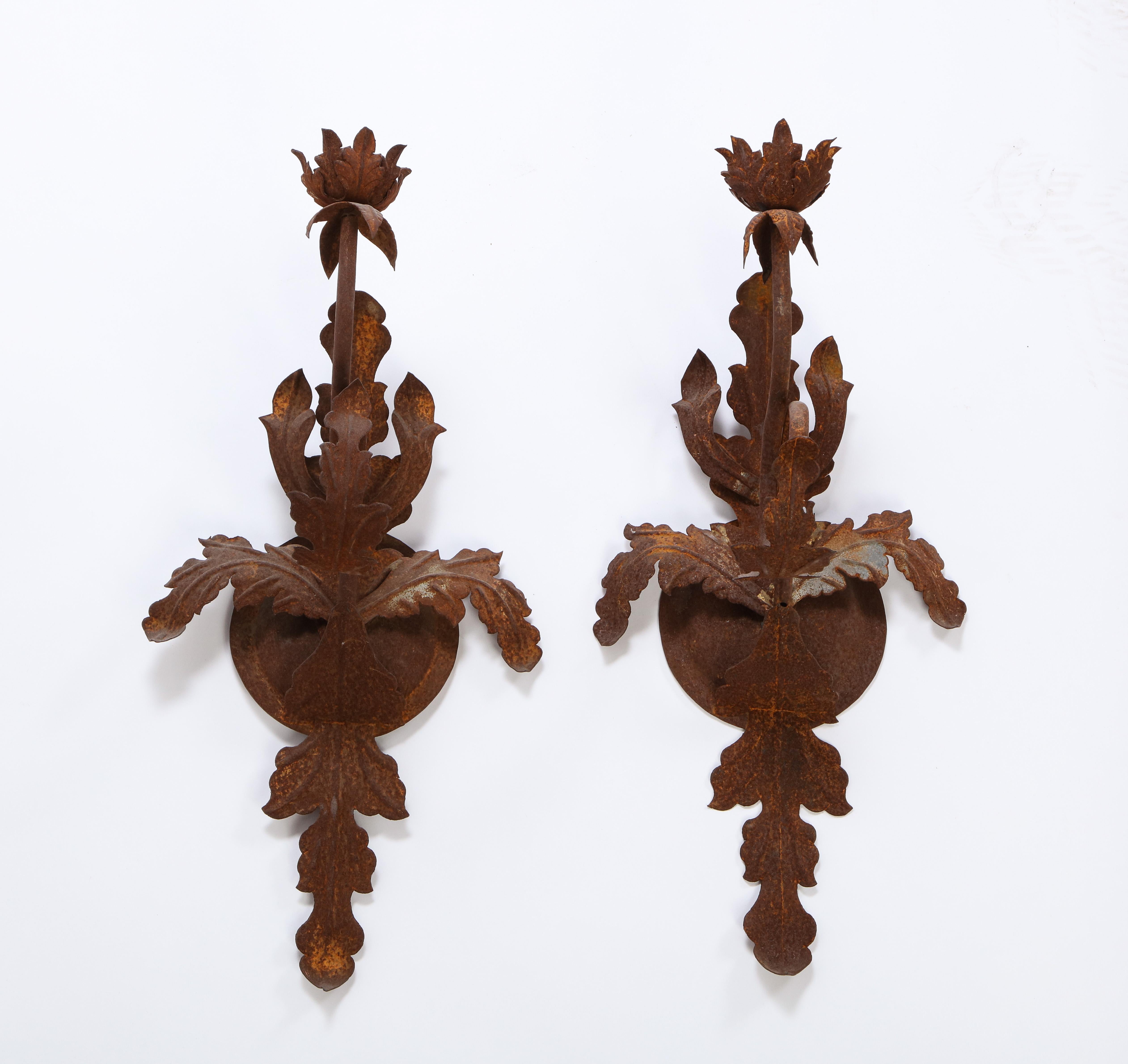 Wrought Iron Pair of Budding Flower Wrought-Iron Sconces, 20th Century For Sale