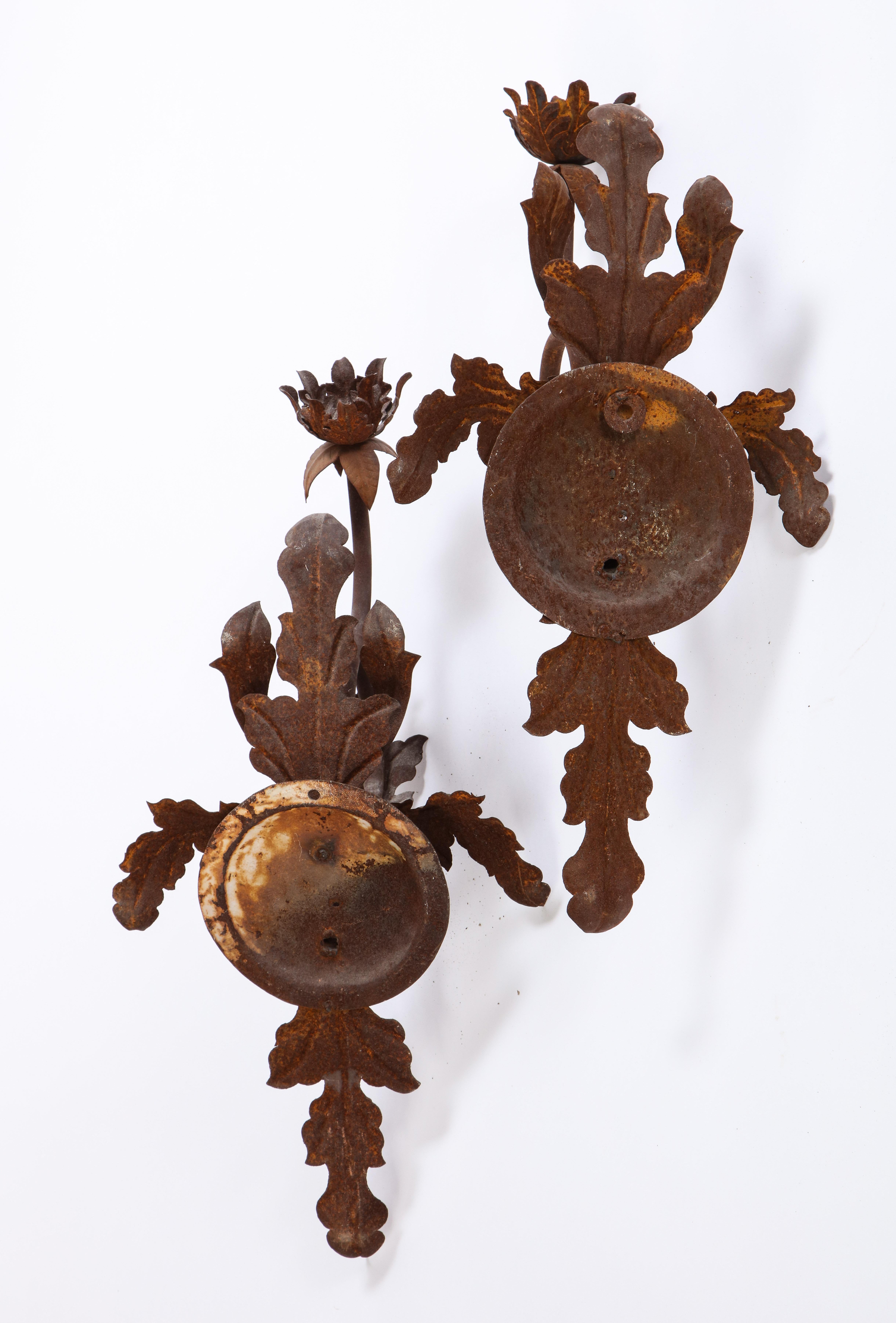 Wrought Iron Pair of Budding Flower Wrought-Iron Sconces, 20th Century For Sale