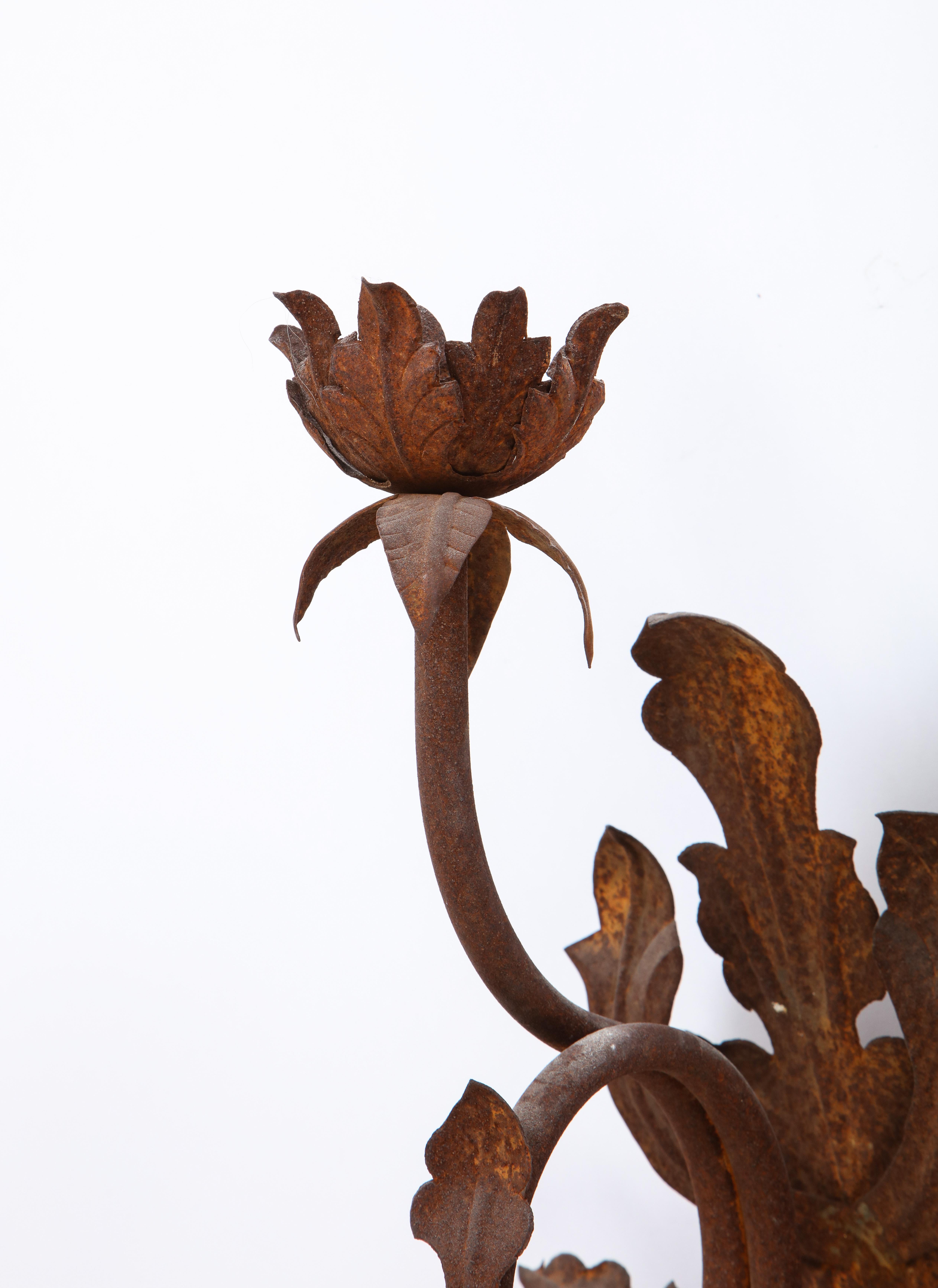Pair of Budding Flower Wrought-Iron Sconces, 20th Century For Sale 1