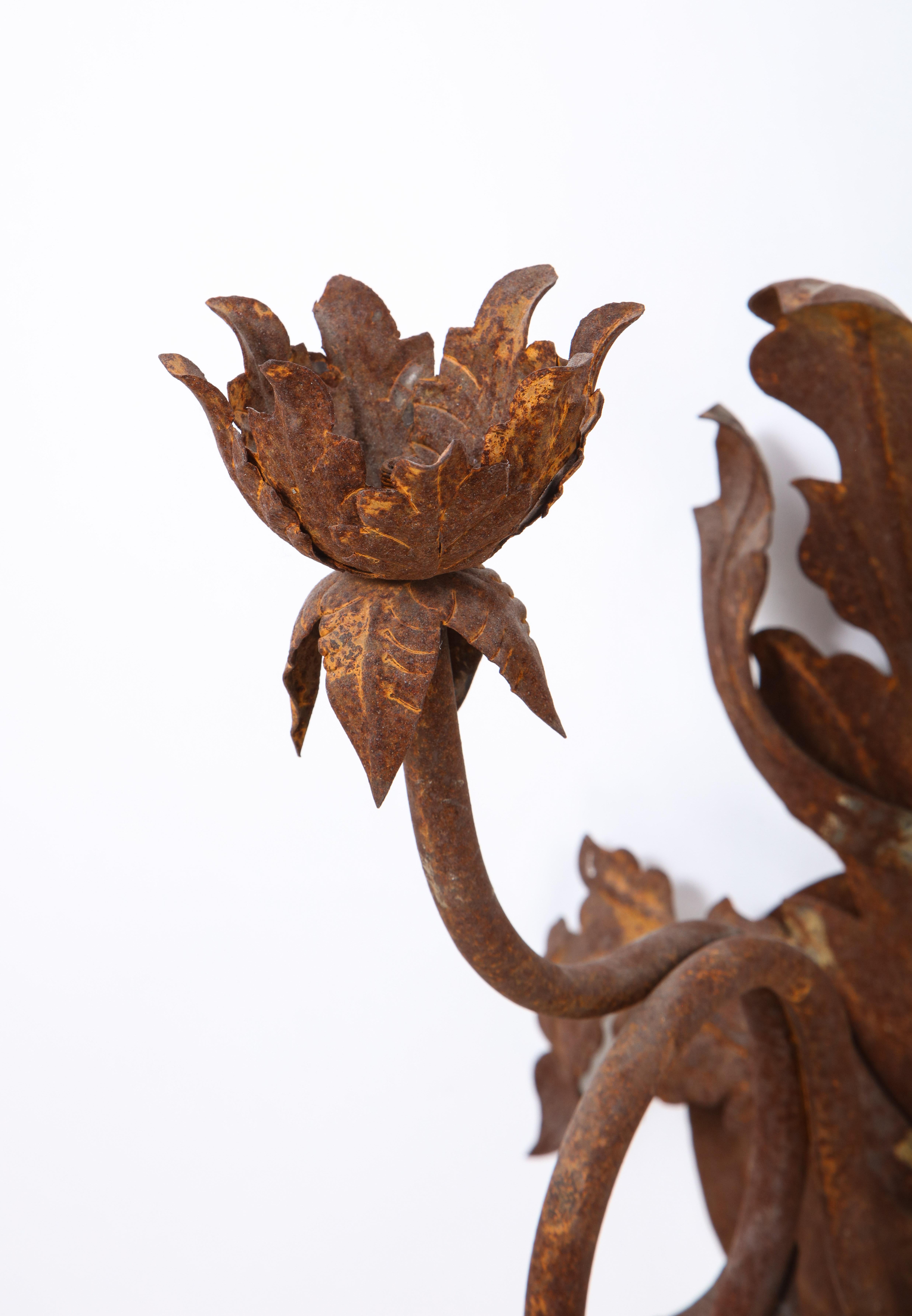 Pair of Budding Flower Wrought-Iron Sconces, 20th Century For Sale 2