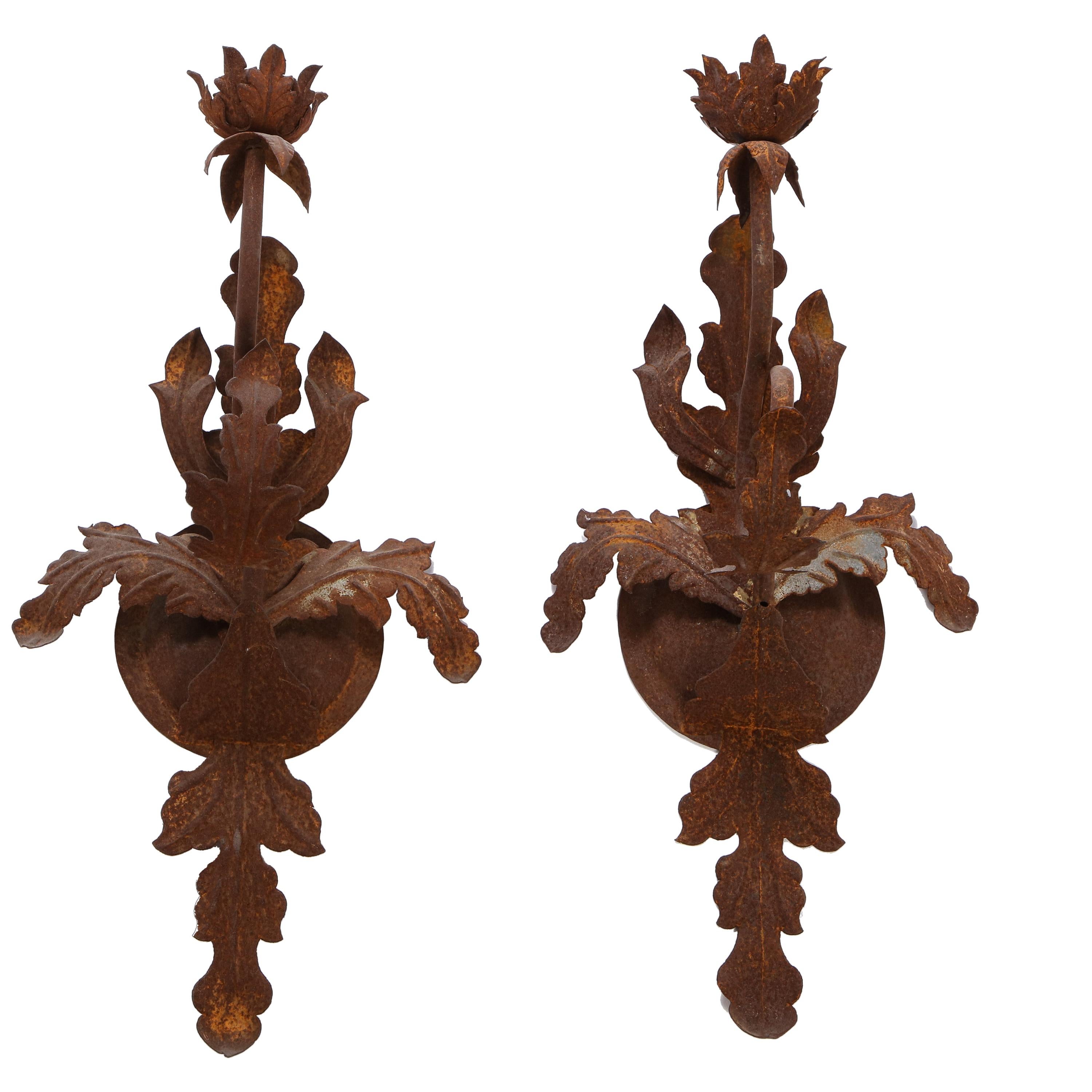 Pair of Budding Flower Wrought-Iron Sconces, 20th Century For Sale