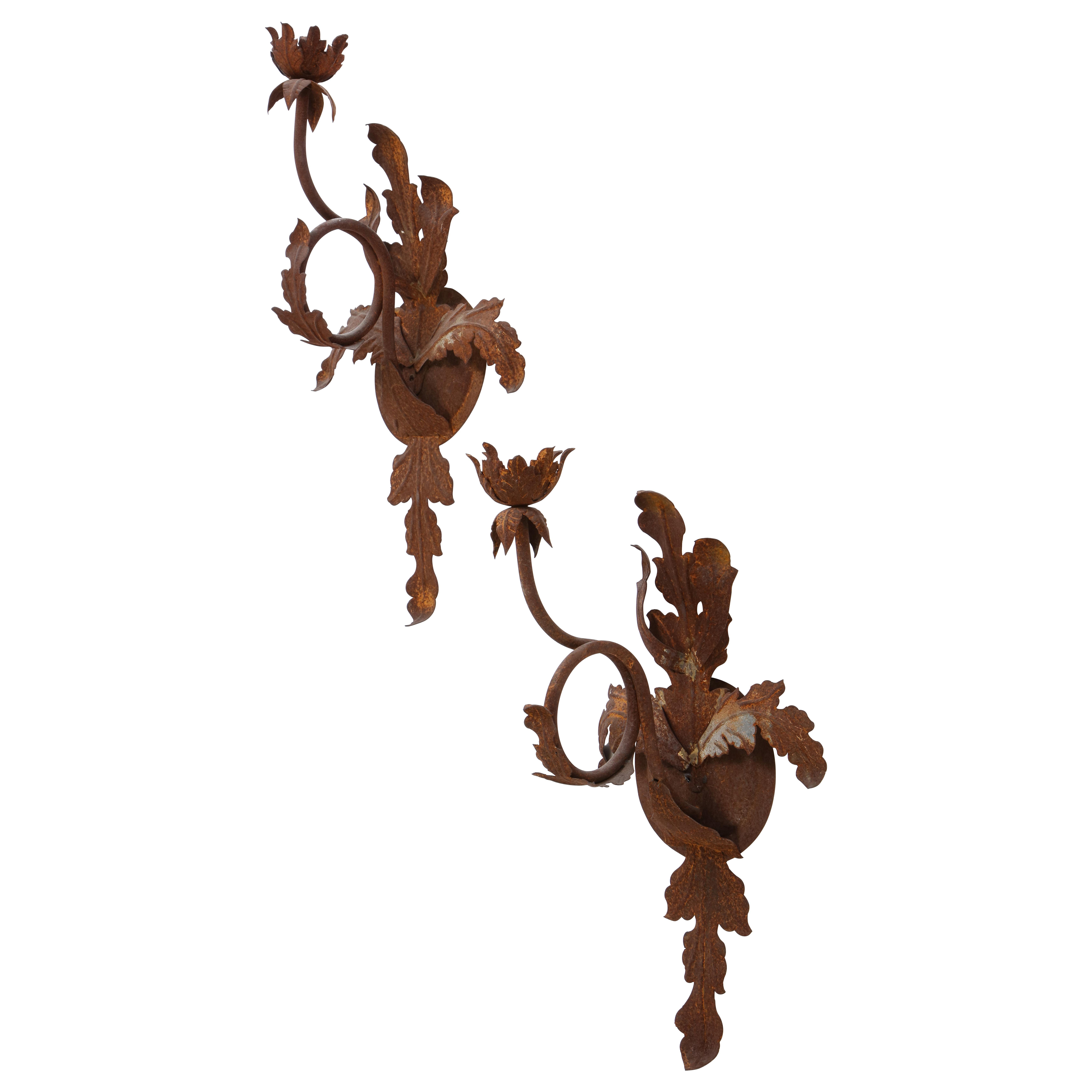 Pair of Budding Flower Wrought-Iron Sconces, 20th Century For Sale