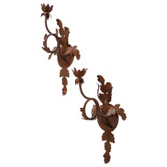 Pair of Budding Flower Wrought-Iron Sconces, 20th Century
