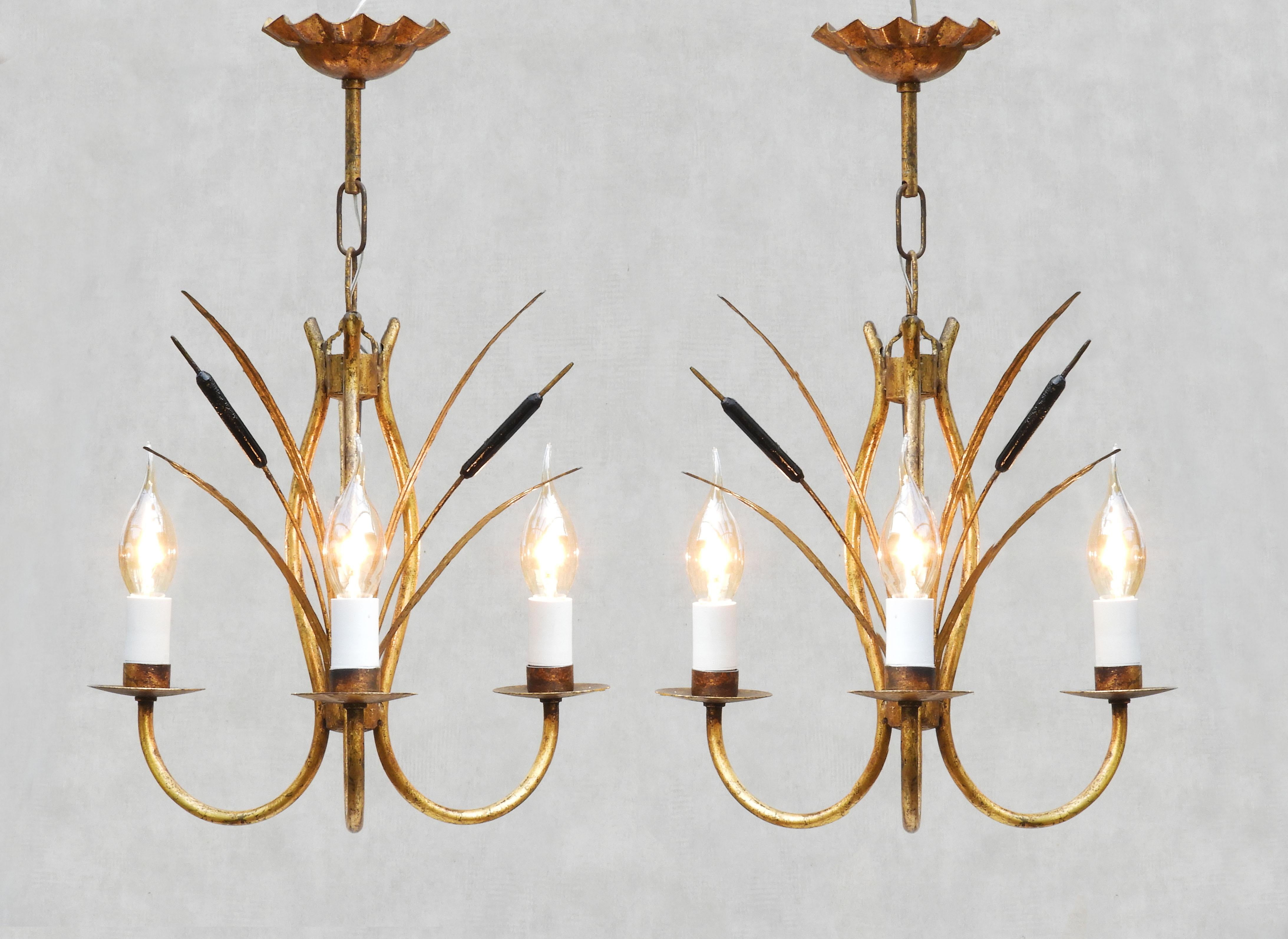 Gorgeous duo of botanical-themed pendant ight chandeliers from mid-20th century France.
A pair of gilded tôle Maison Jansen style chandeliers with a central spray of bulrushes long slender foliage surrounded by three 'faux' candlelights. In great