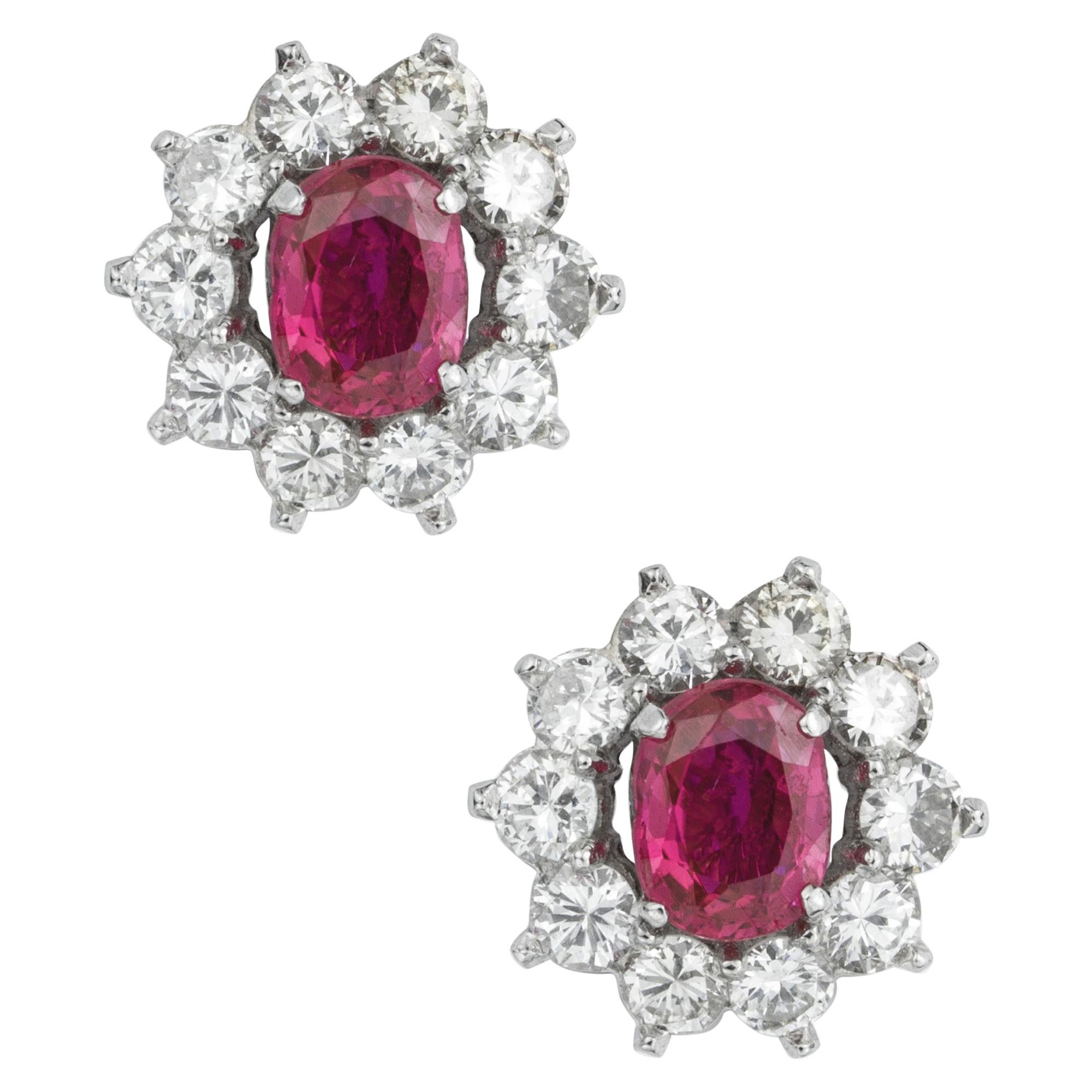 Pair of Burmese Rubies and Diamond Cluster Earrings For Sale