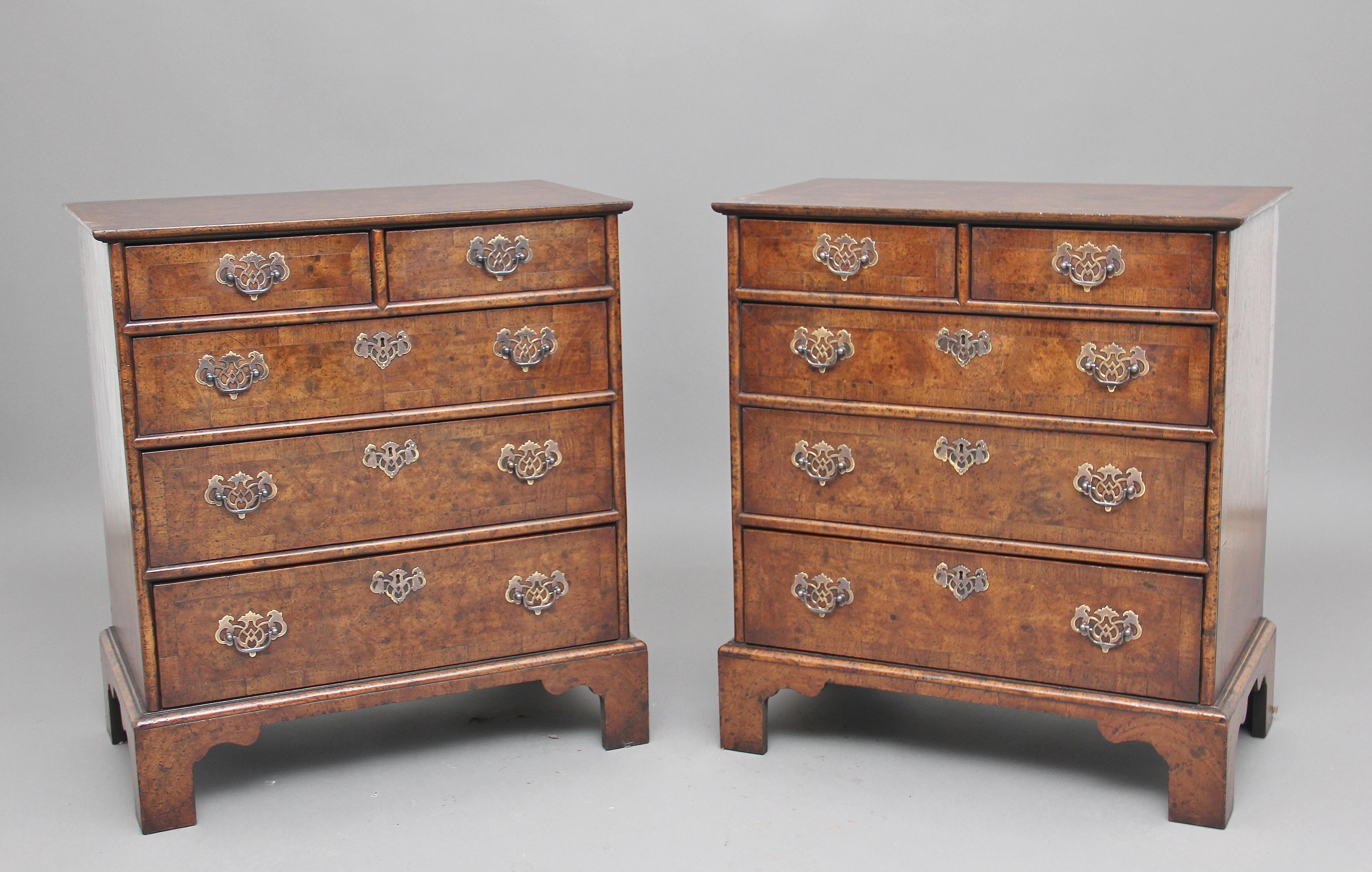 Pair of Burr Walnut Chest of Drawers 5