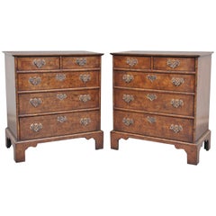 Pair of Burr Walnut Chest of Drawers
