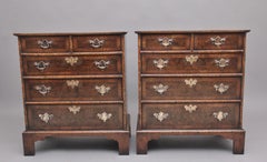 Pair of Burr Walnut Chests