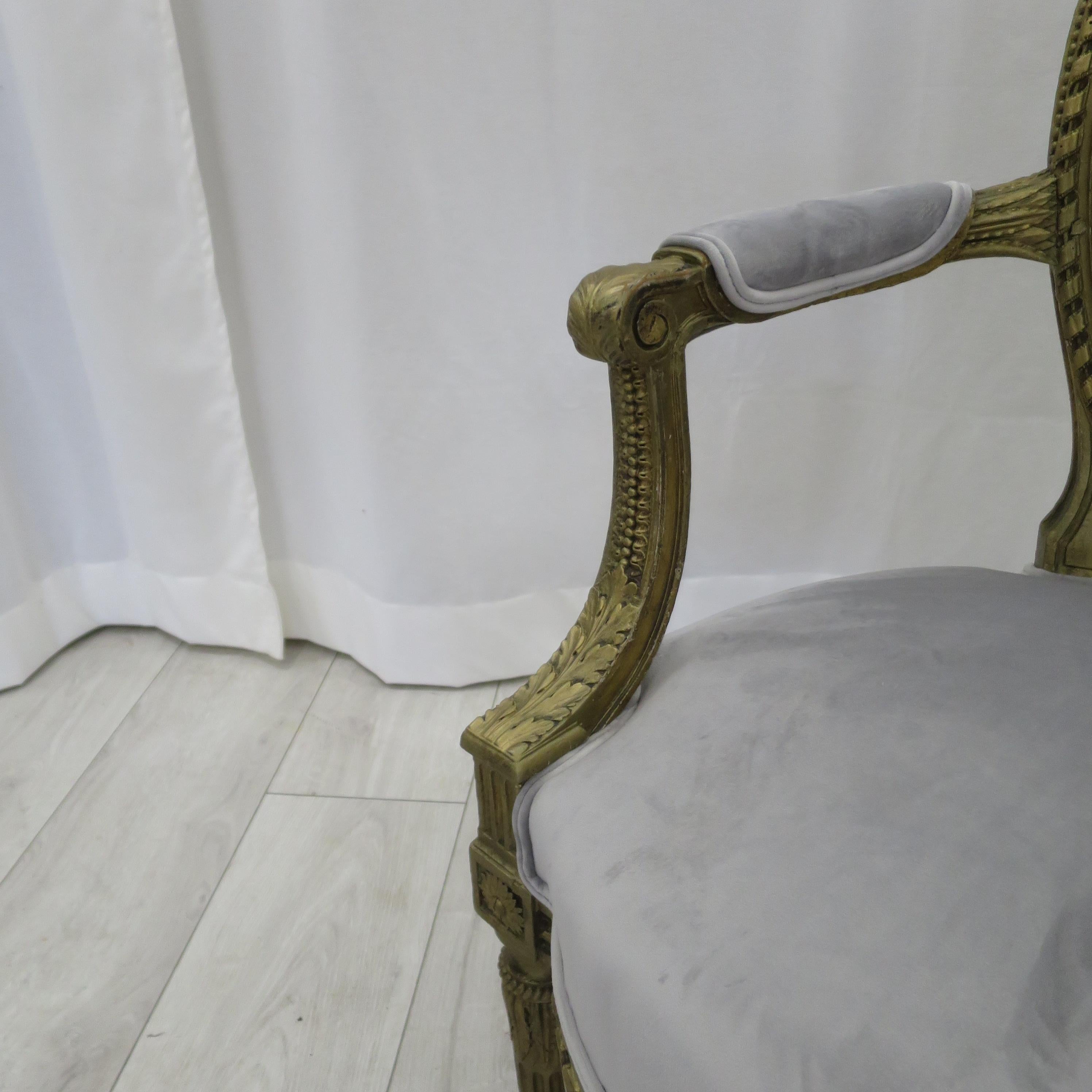 Wood Pair of Cabriolet Armchairs in Giltwood 19th Century Style Louis XVI For Sale