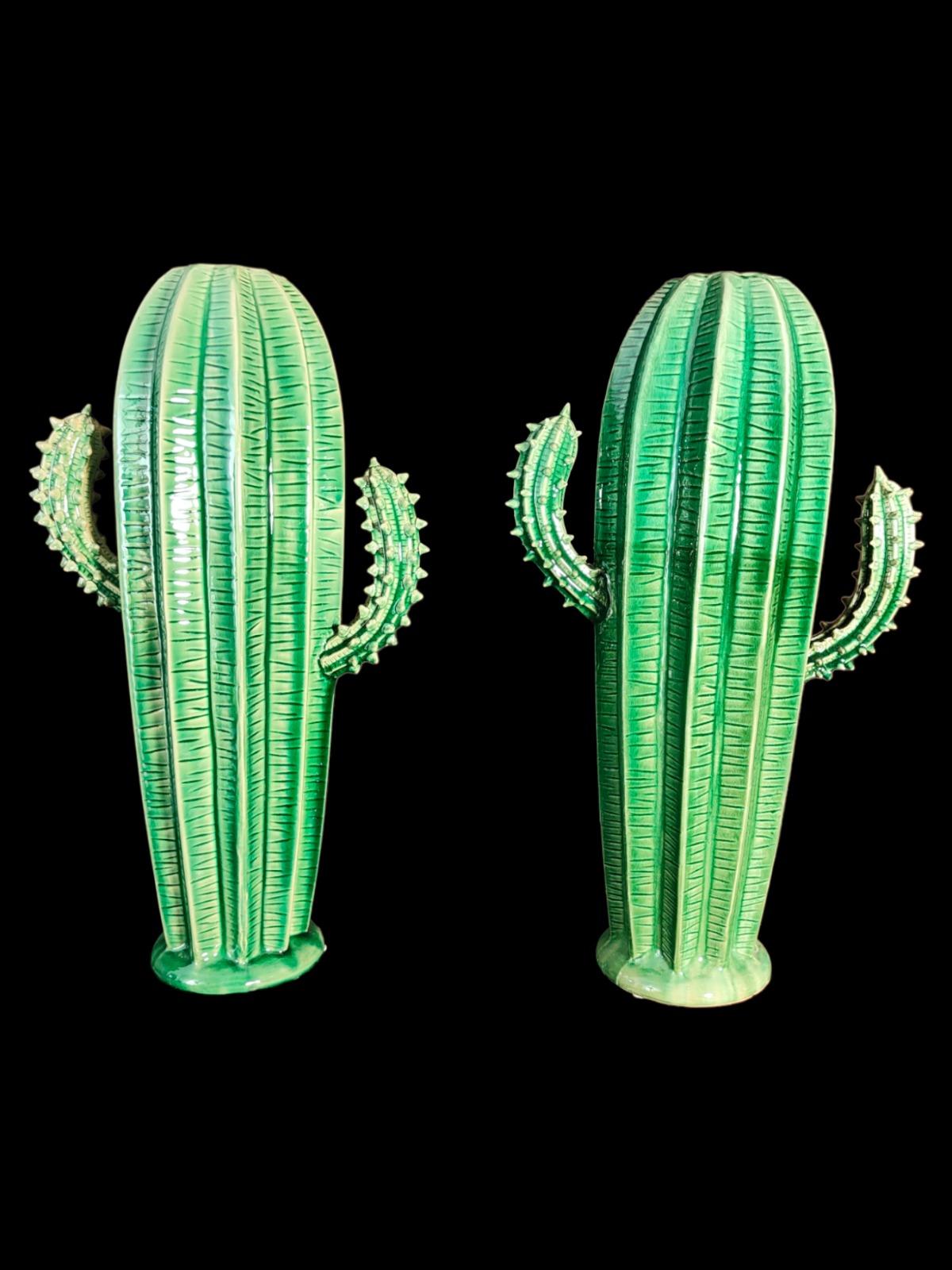 cactus xx