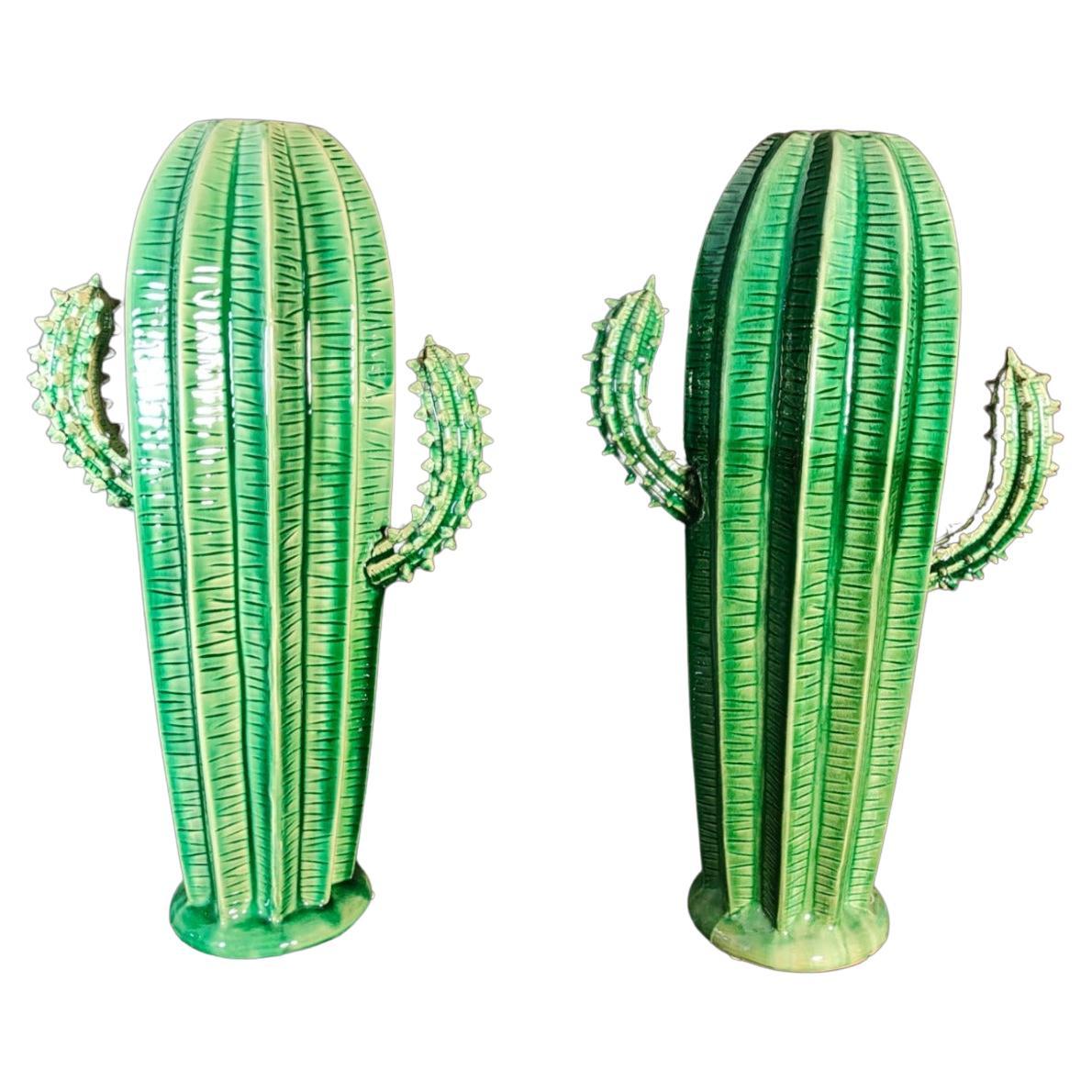 Pair of Cactus Years 70 20th Century