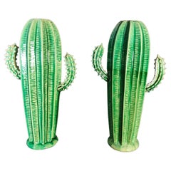 Paire de Cactus Années 70 20ème siècle