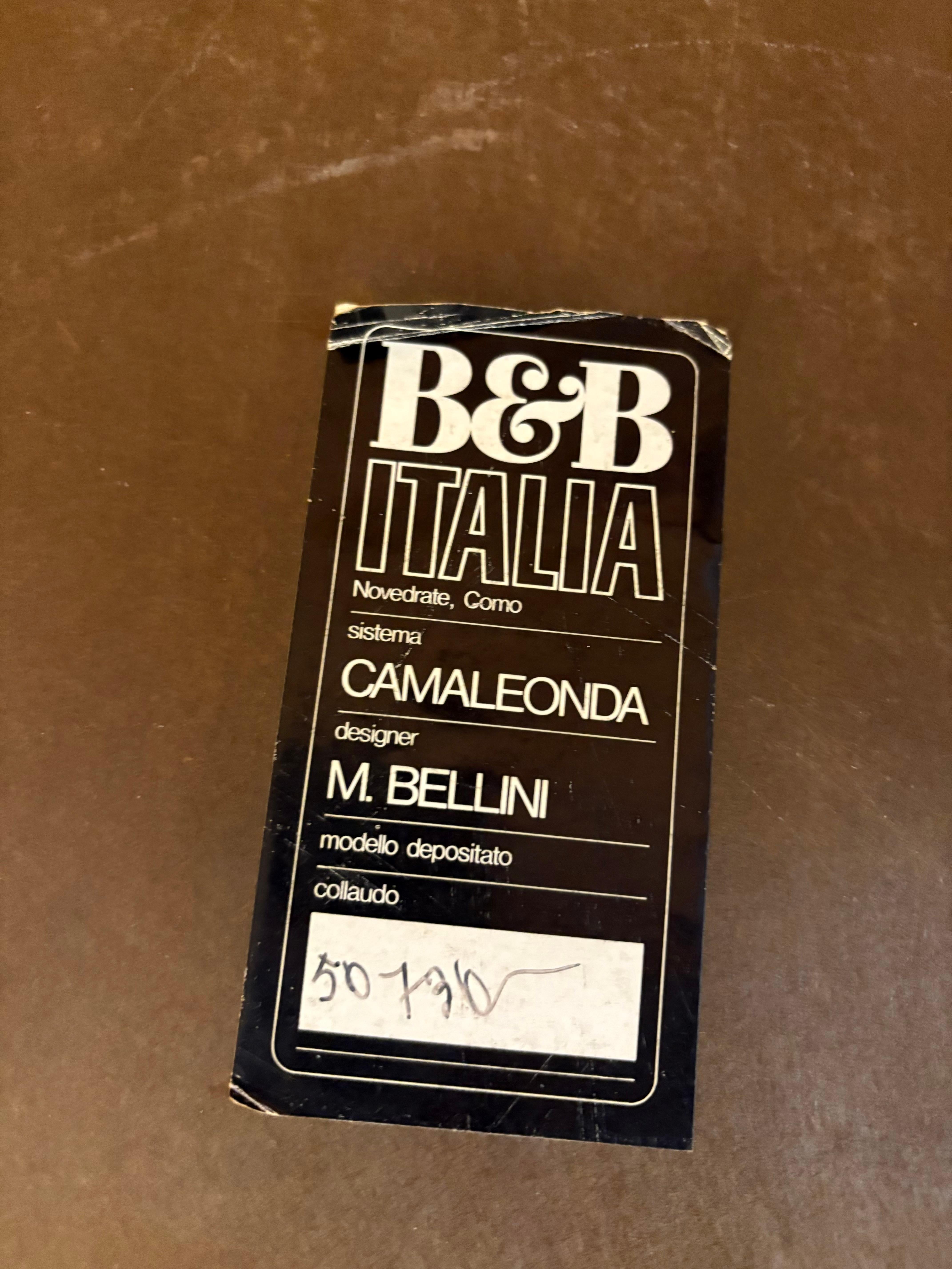 Pair of Camaleonda Lounge Chairs/Sofa by Mario Bellini for B&B Italia, Signed For Sale 2