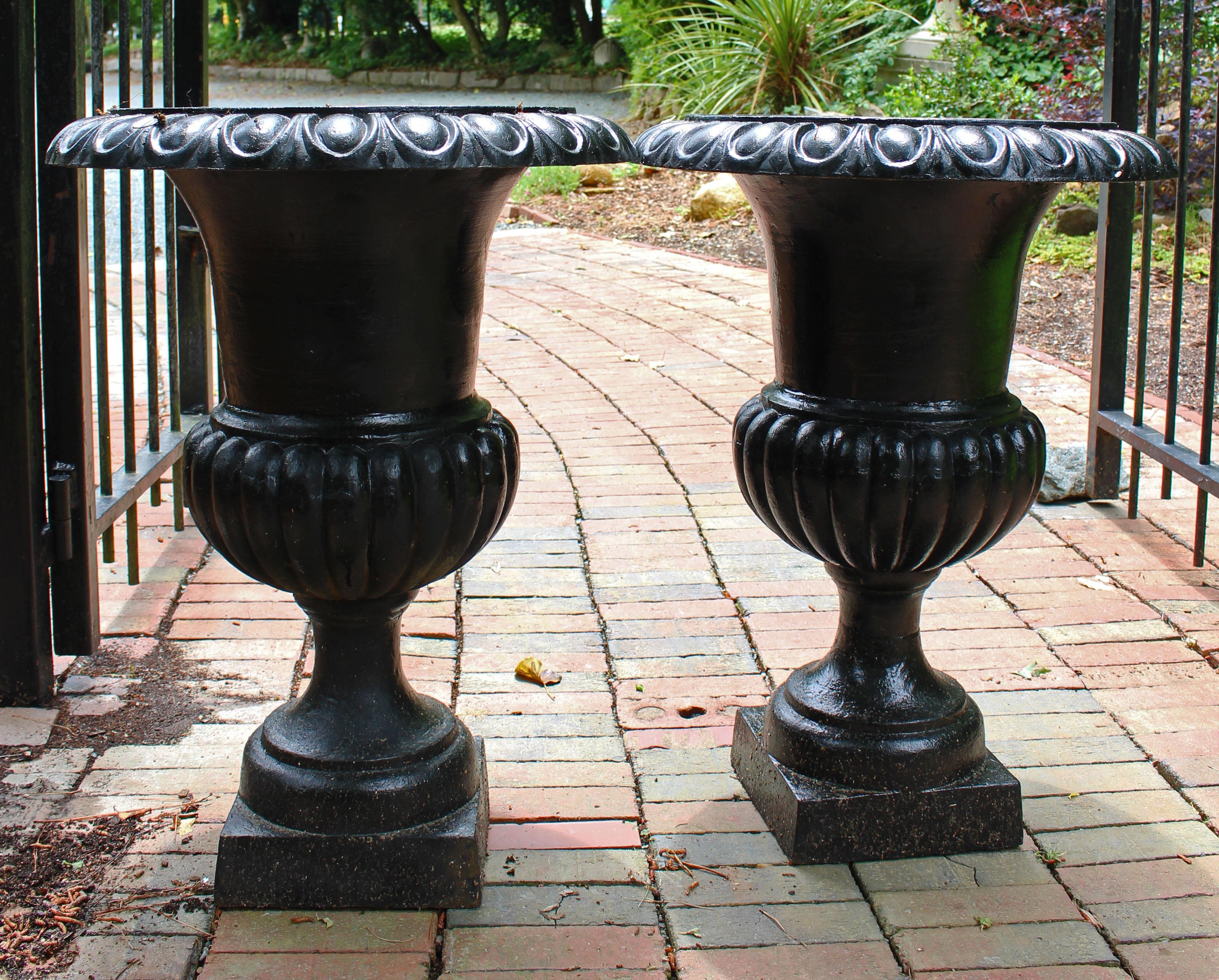 A pair of campana form cast iron garden urn planters. Neoclassical Style, Late 19th Century. Egg & dart top molding; gadrooning at the base of the urn above the pedestal upright. 30