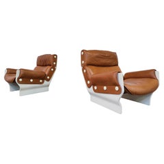 Pair of Canada P110 Armchairs by Osvaldo Borsani for Tecno, Italy, 1960s