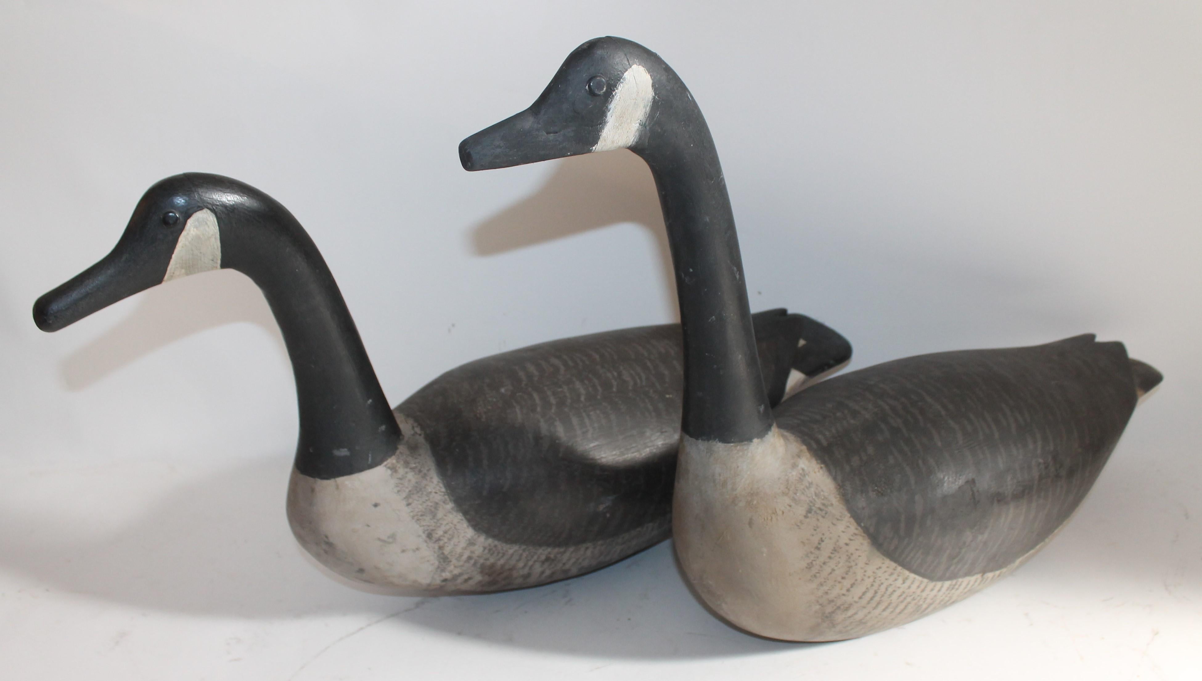 Country Pair of Canadian Goose Decoys, 1930s