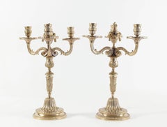 Paire de candélabres de style Louis XV en bronze doré et or, 19ème siècle