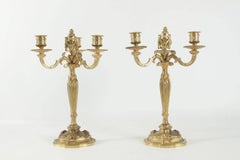 Pair of Candelabra in the Style of Louis XV in Gold Gilt Bronze, 19th Century