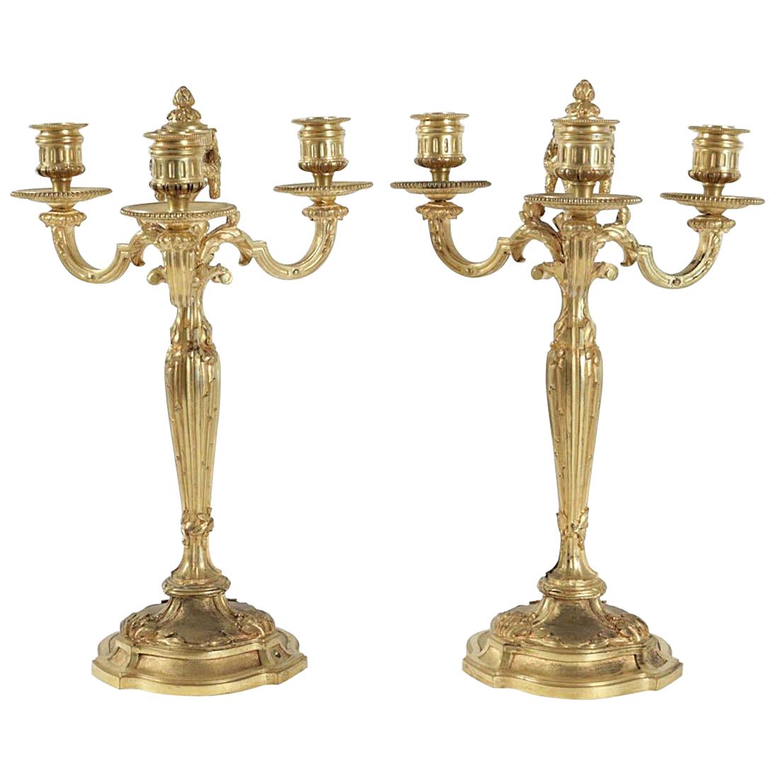Coppia di candelabri in stile Luigi XV in bronzo dorato, XIX secolo in vendita