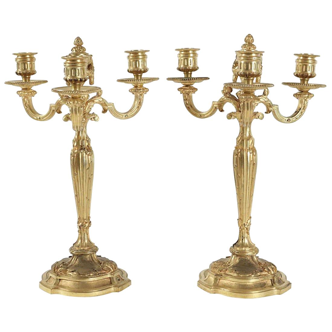 Pair of Candelabra in the Style of Louis XV in Gold Gilt Bronze, 19th Century For Sale