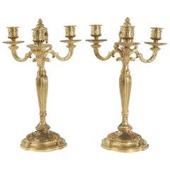 Pair of Candelabra in the Style of Louis XV in Gold Gilt Bronze, 19th Century