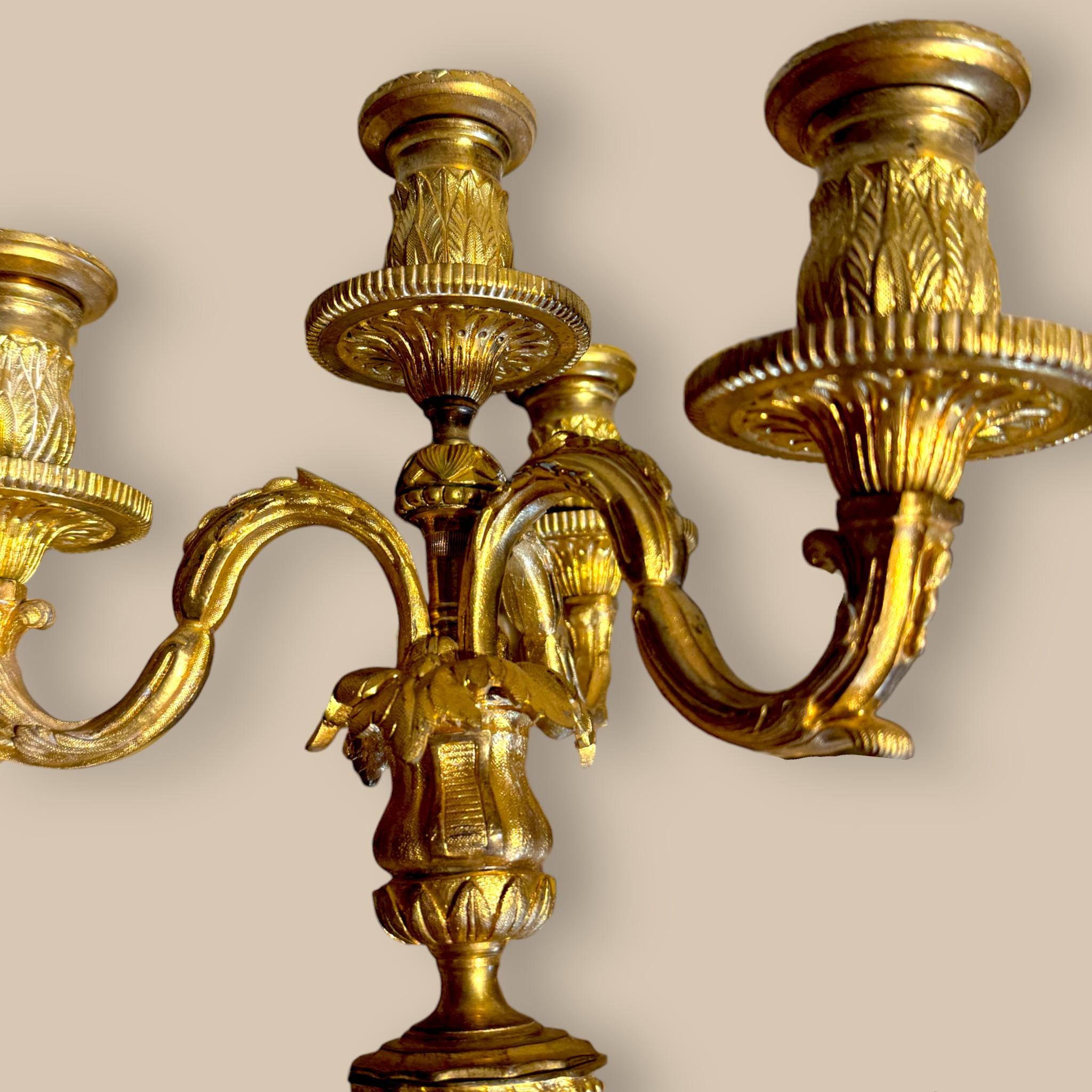 Coppia di candelabri in stile Luigi XVI in bronzo dorato, XIX secolo In condizioni buone in vendita a NICE, FR