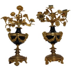 Pair of Candlesticks in Gilded Bronze