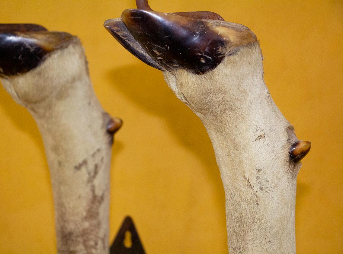 Pair of Candlesticks Mounted on Antelope Feet, circa 1940 In Good Condition For Sale In Beuzevillette, FR