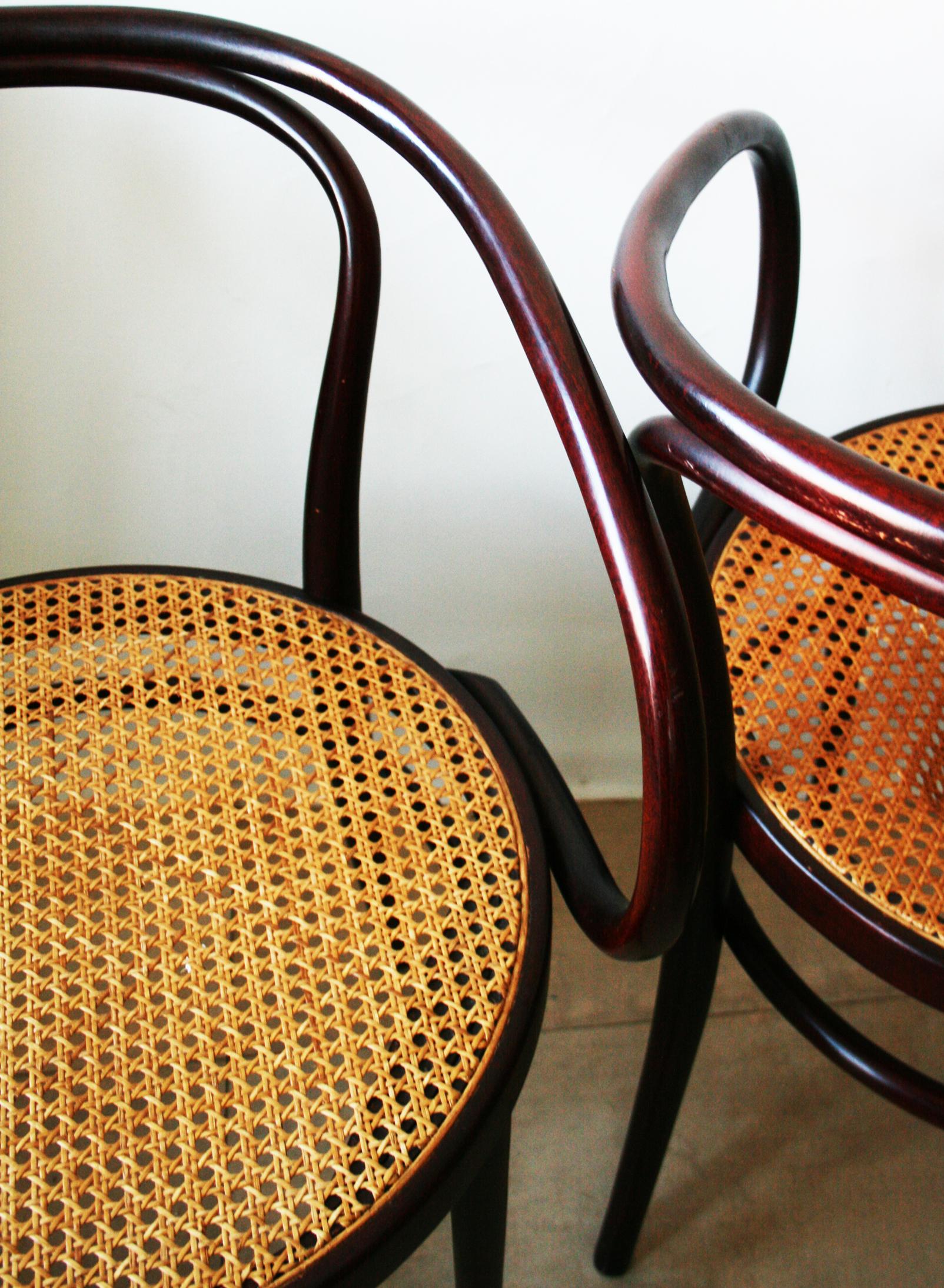 Pair of Cane and Bentwood Chairs after Thonet 209, 1950s 4