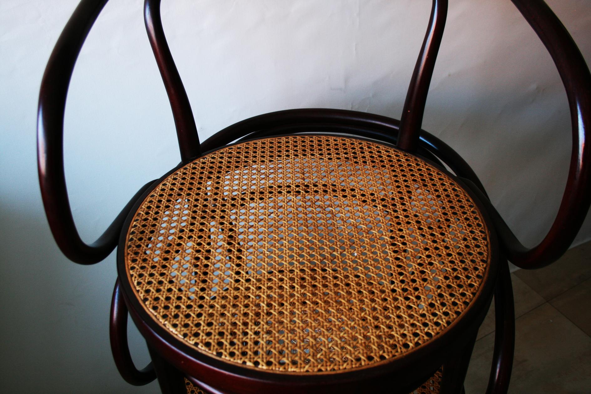 Pair of Cane and Bentwood Chairs after Thonet 209, 1950s 9