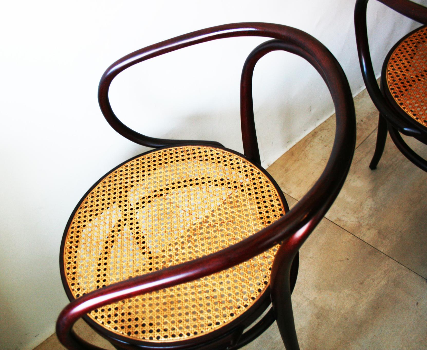 Pair of Cane and Bentwood Chairs after Thonet 209, 1950s 1