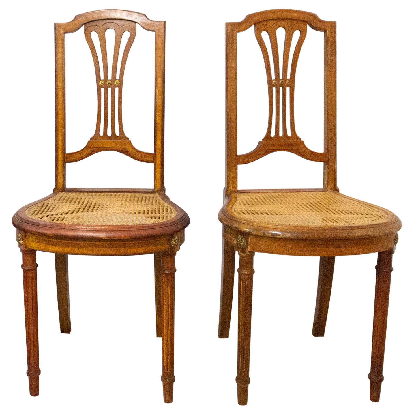 Pair of Caned Dining Chairs or Side Chairs Louis XVI Style French