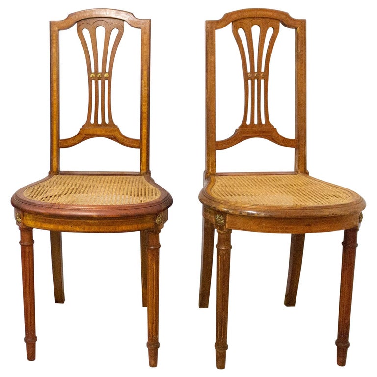 Pair of Caned Dining Chairs or Side Chairs Louis XVI Style French For ...