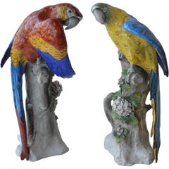 Pair of Capodimonte Porcelain Parrots