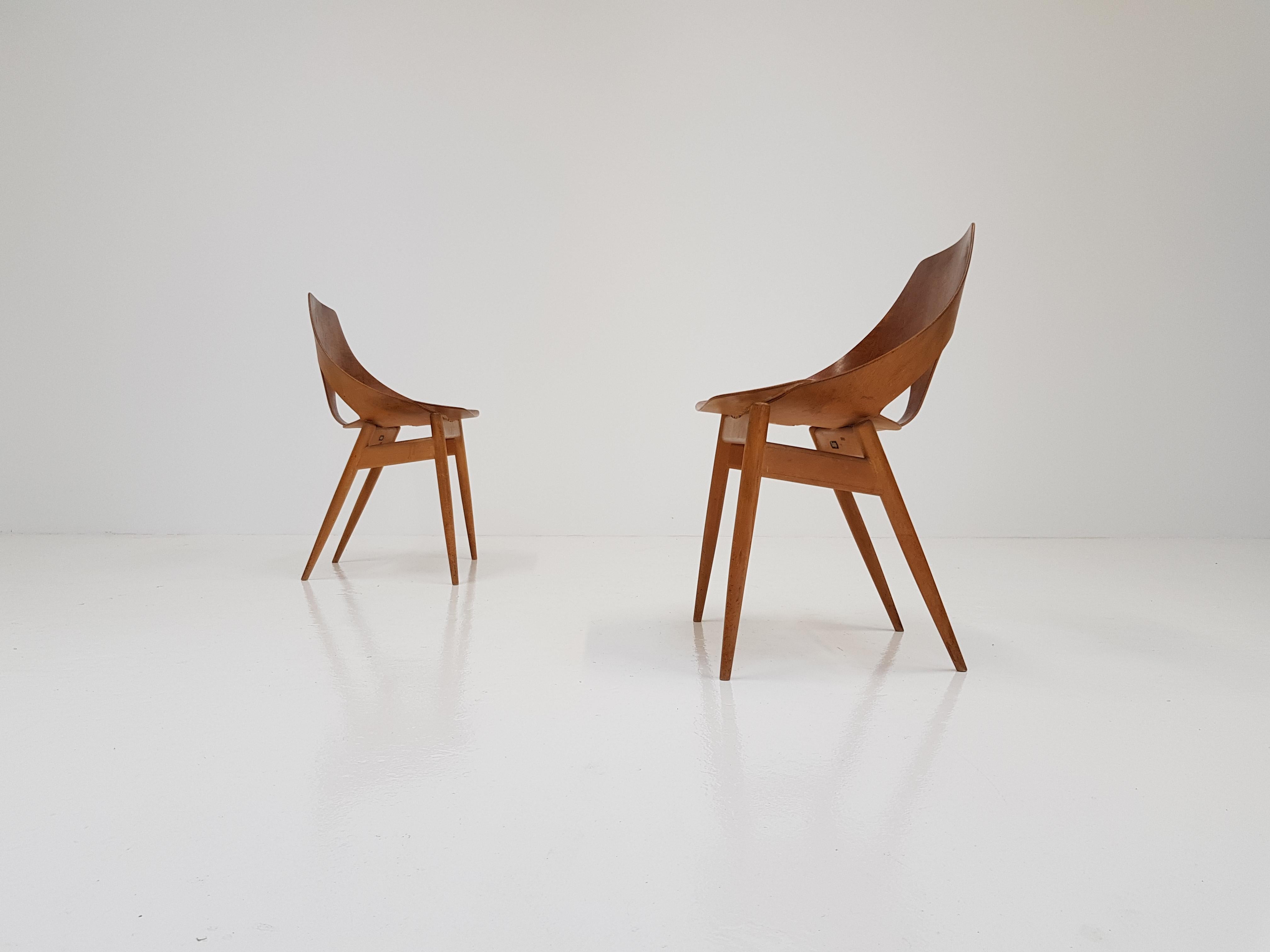 Plywood Pair of Carl Jacobs & Frank Guille Designed 'Jason' Chairs for Kandya, 1950s