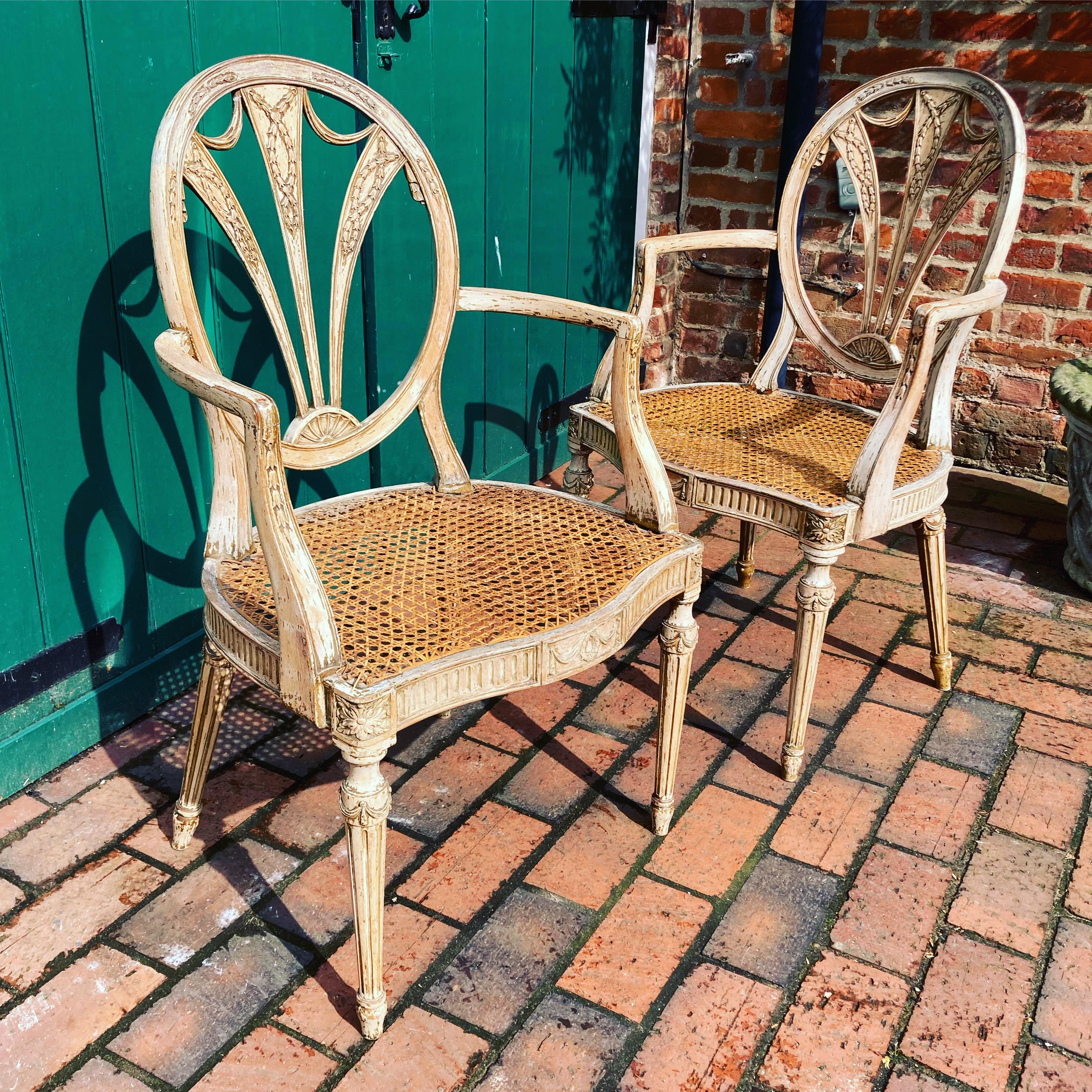 A very stylish pair of Heppelwhite style salon chairs featuring a carved, shaped backrest on tapered fluted legs with rattan seats.