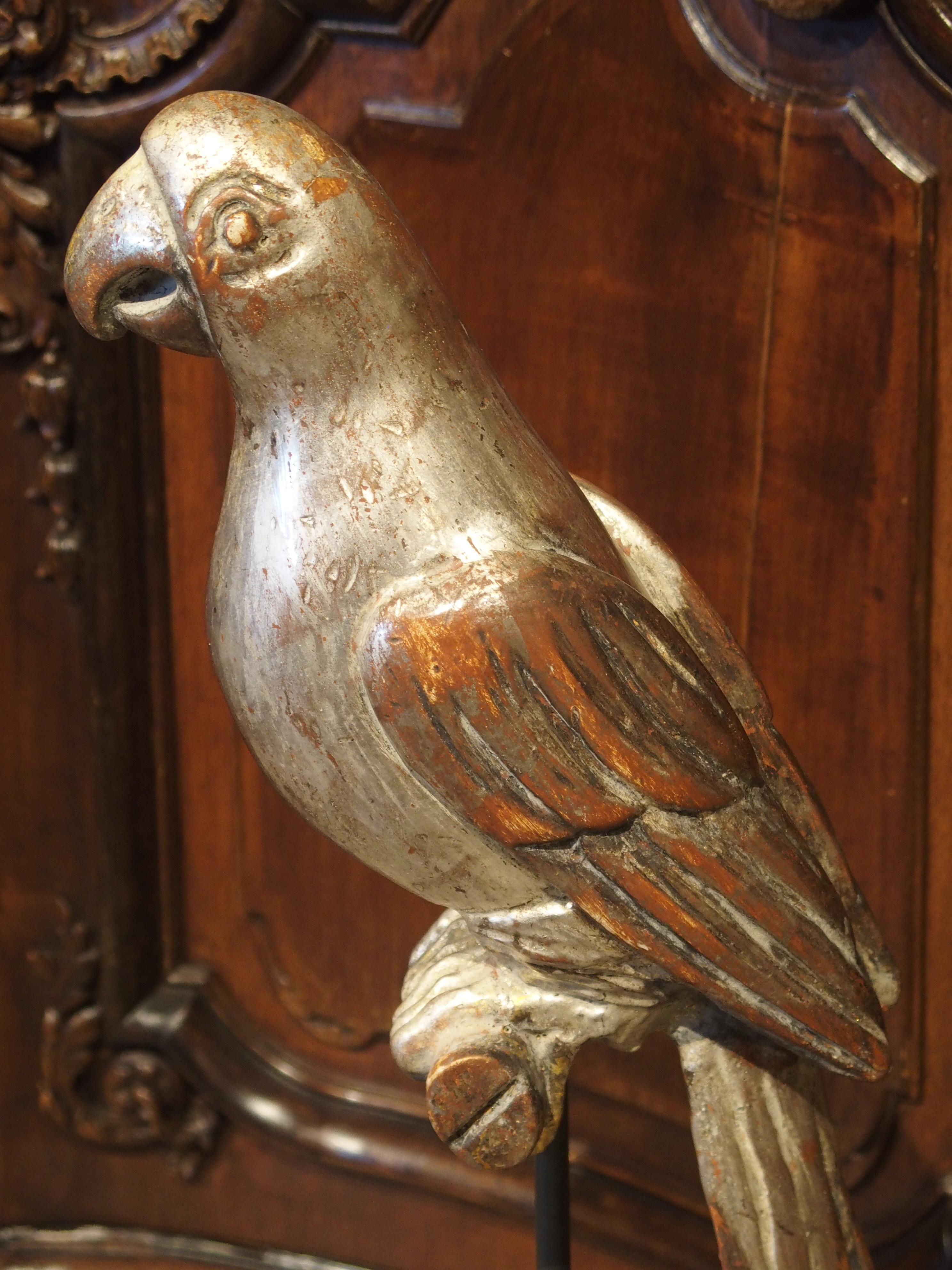 Pair of Carved and Silvered Italian Parrots on Stands, 20th Century 6