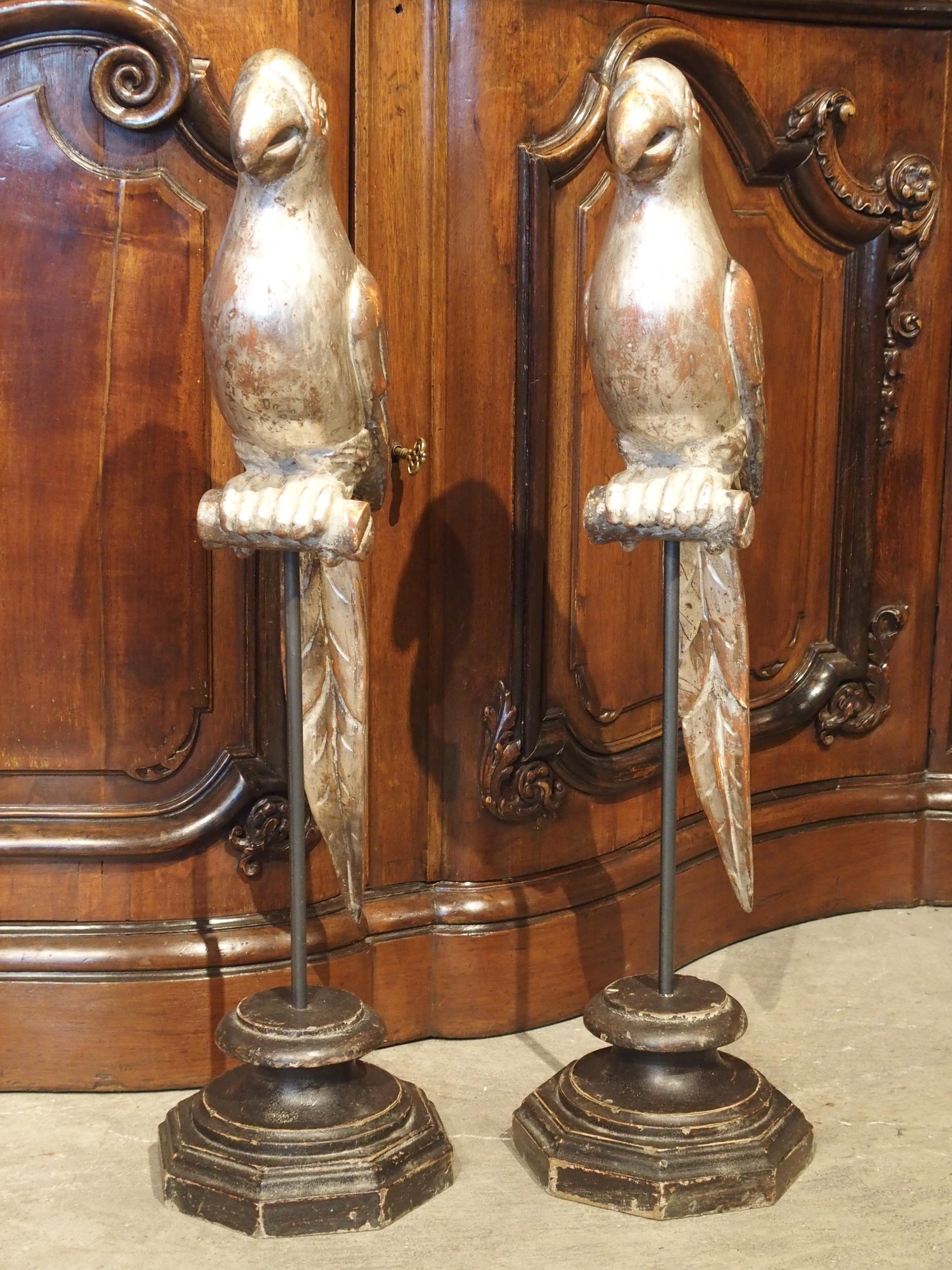 Pair of Carved and Silvered Italian Parrots on Stands, 20th Century 10