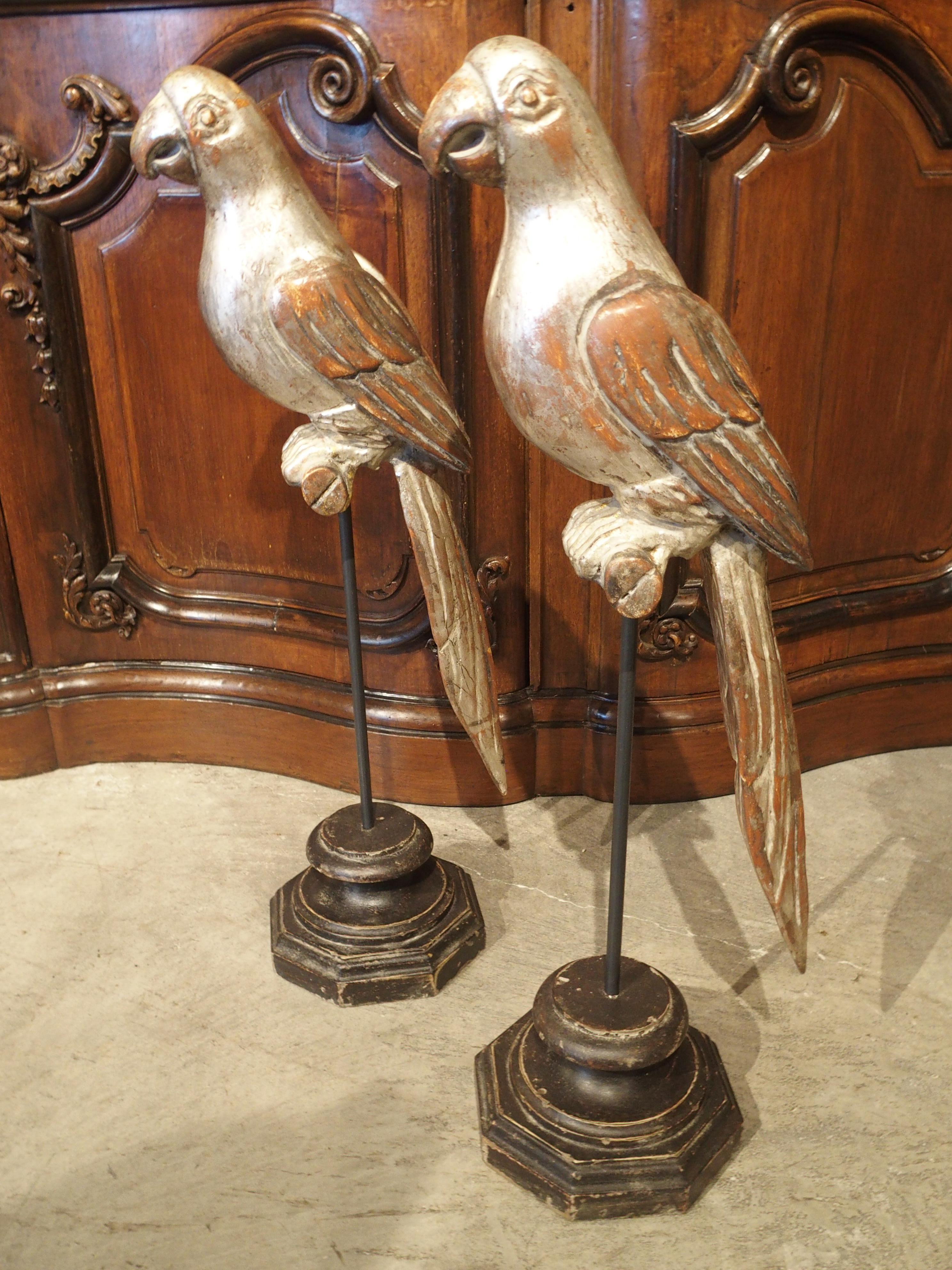 These charming silver gilt parrots stand close to 30 inches high. They are mounted to carved hexagonal and wooden painted bases via a small iron rod. The birds rest on small silvered round perches, which are connected to the rods. Wonderful as
