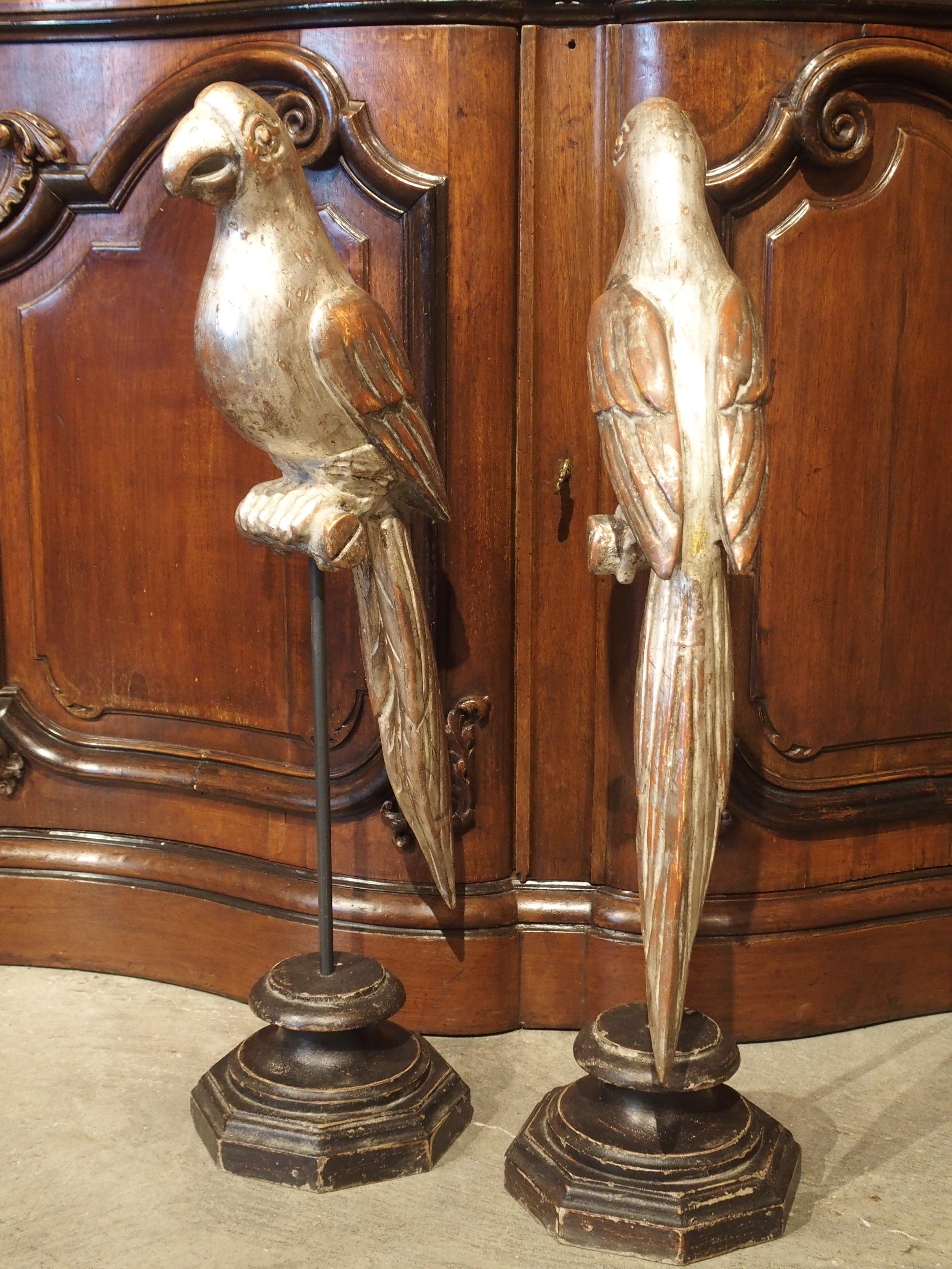 Gilt Pair of Carved and Silvered Italian Parrots on Stands, 20th Century