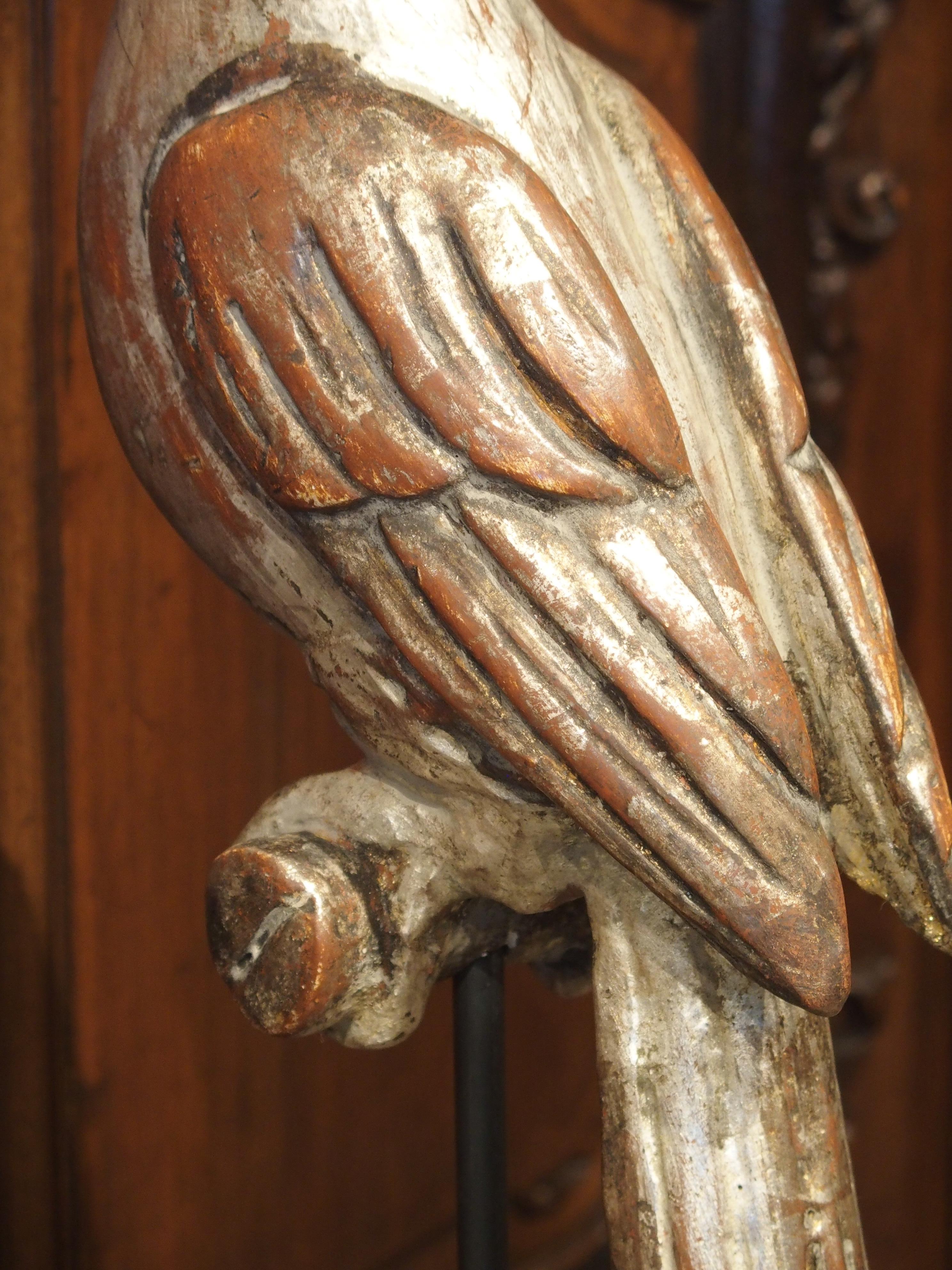 Pair of Carved and Silvered Italian Parrots on Stands, 20th Century 1