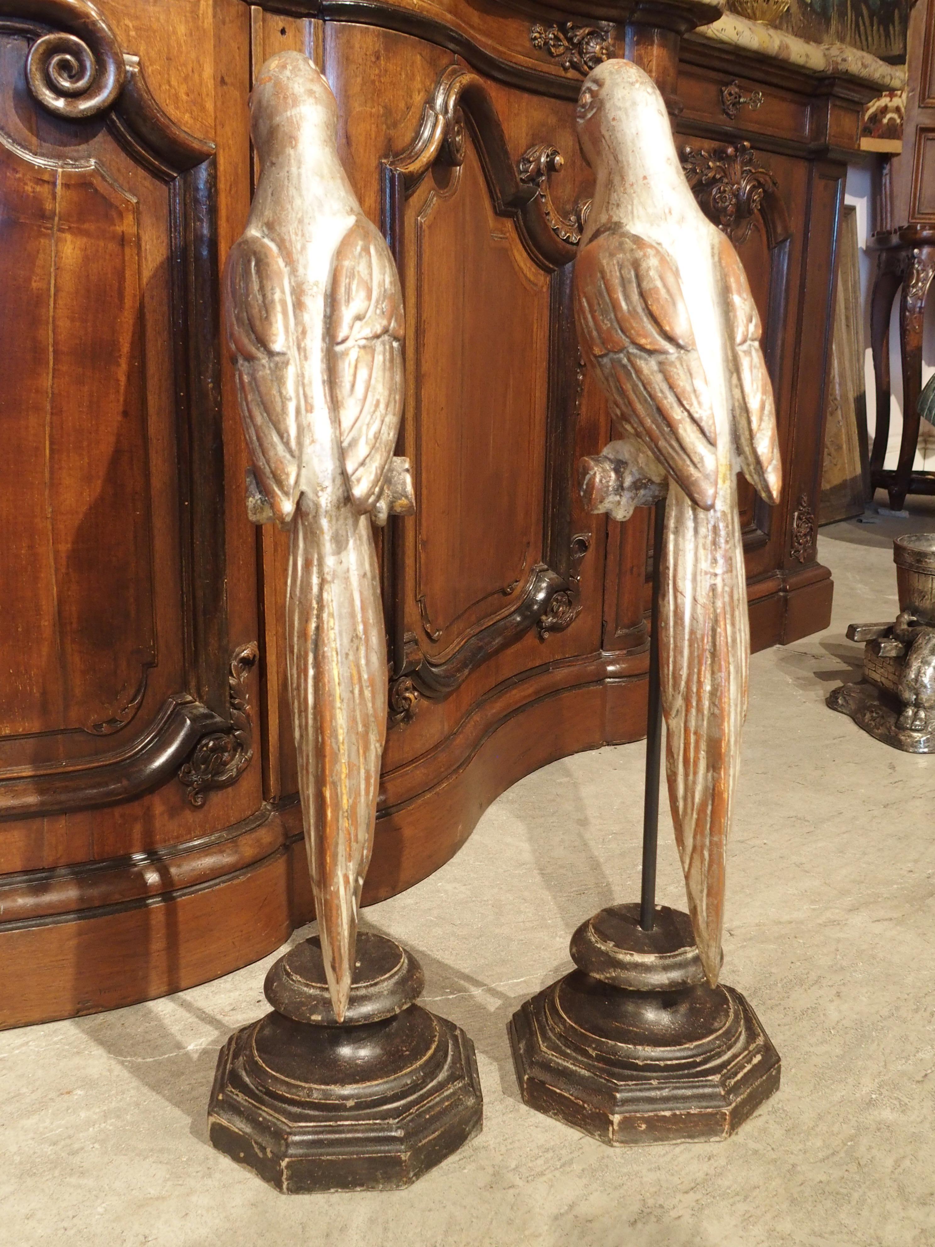 Pair of Carved and Silvered Italian Parrots on Stands, 20th Century 3